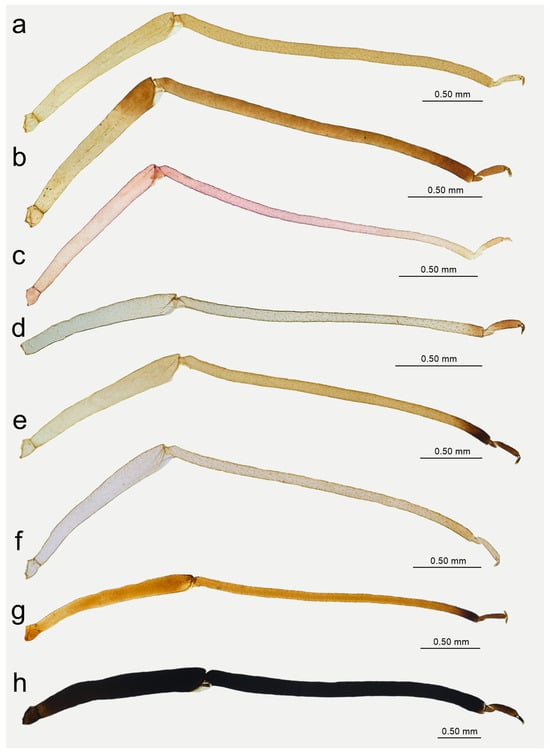 Insects 15 00182 g015