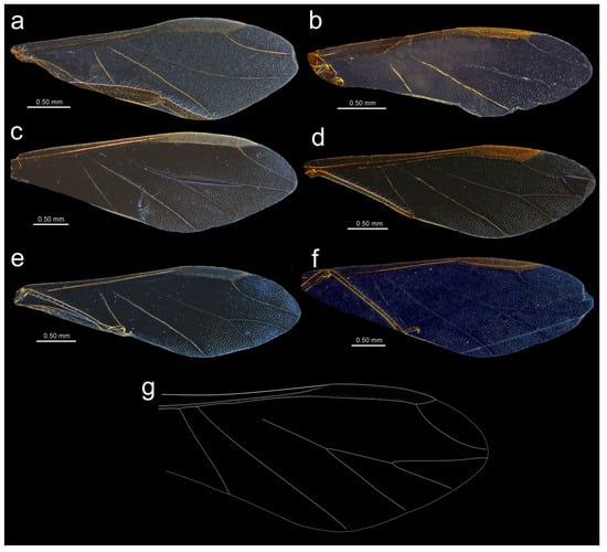 Insects 15 00182 g018