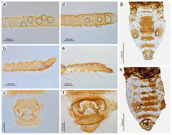 Insects 15 00182 g022