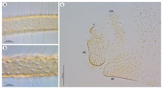 Insects 15 00182 g023