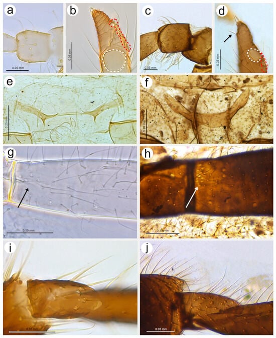 Insects 15 00182 g024