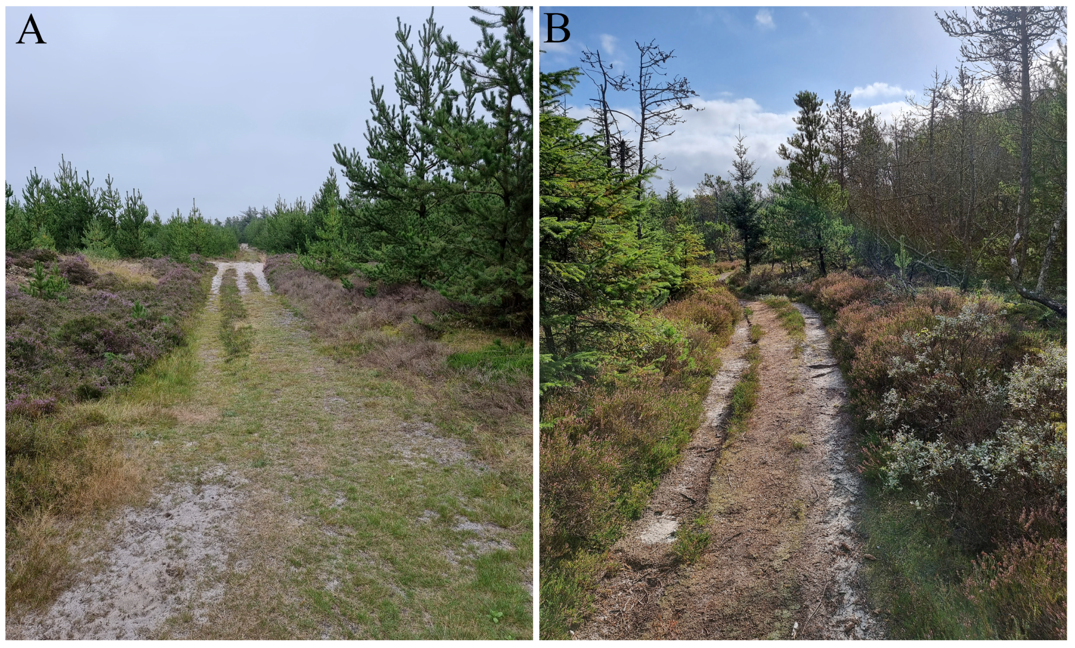 Insects 15 00191 g002