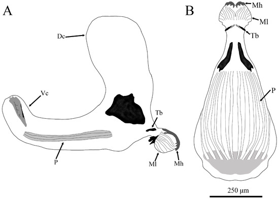 Insects 15 00191 g005