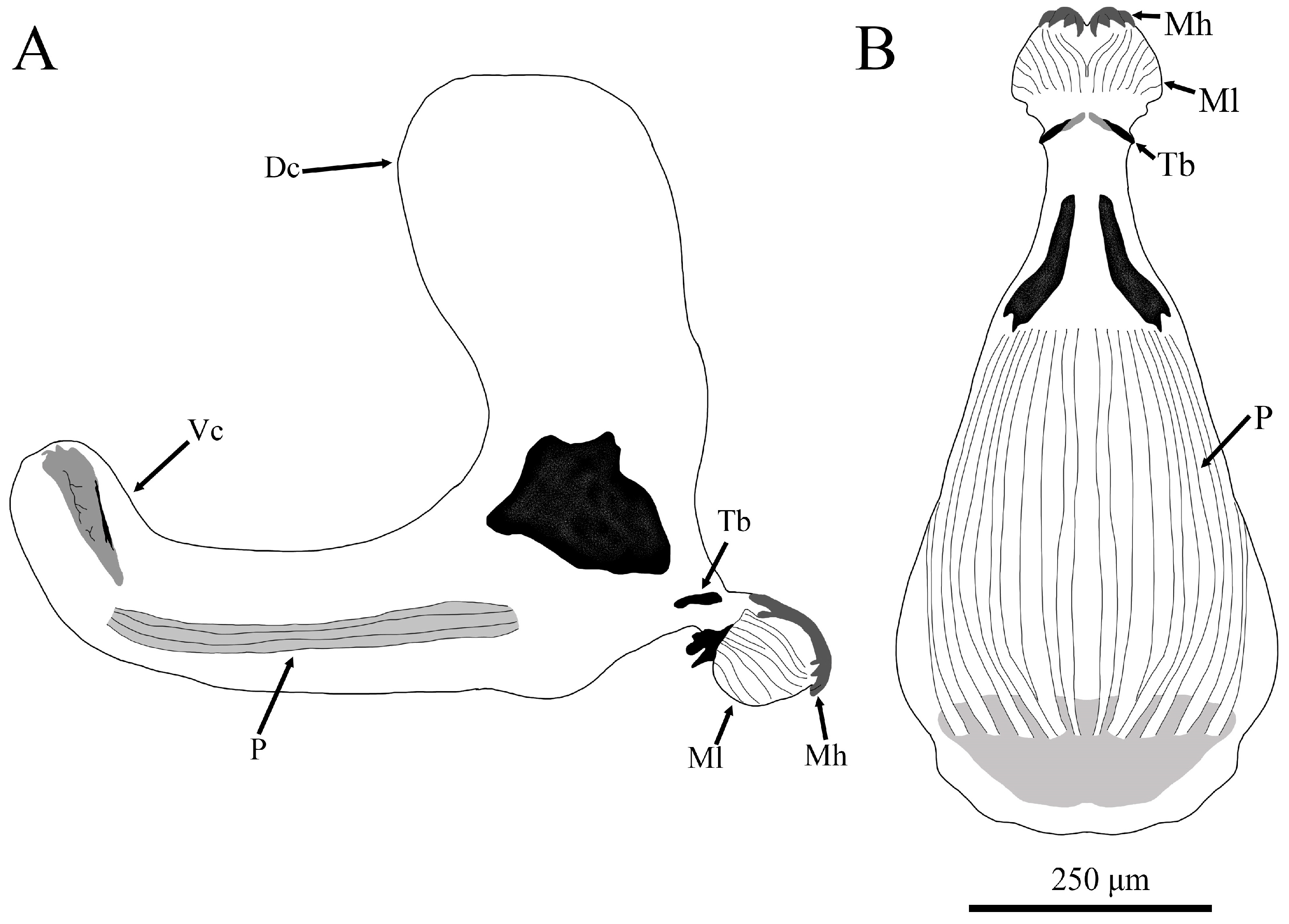 Insects 15 00191 g005
