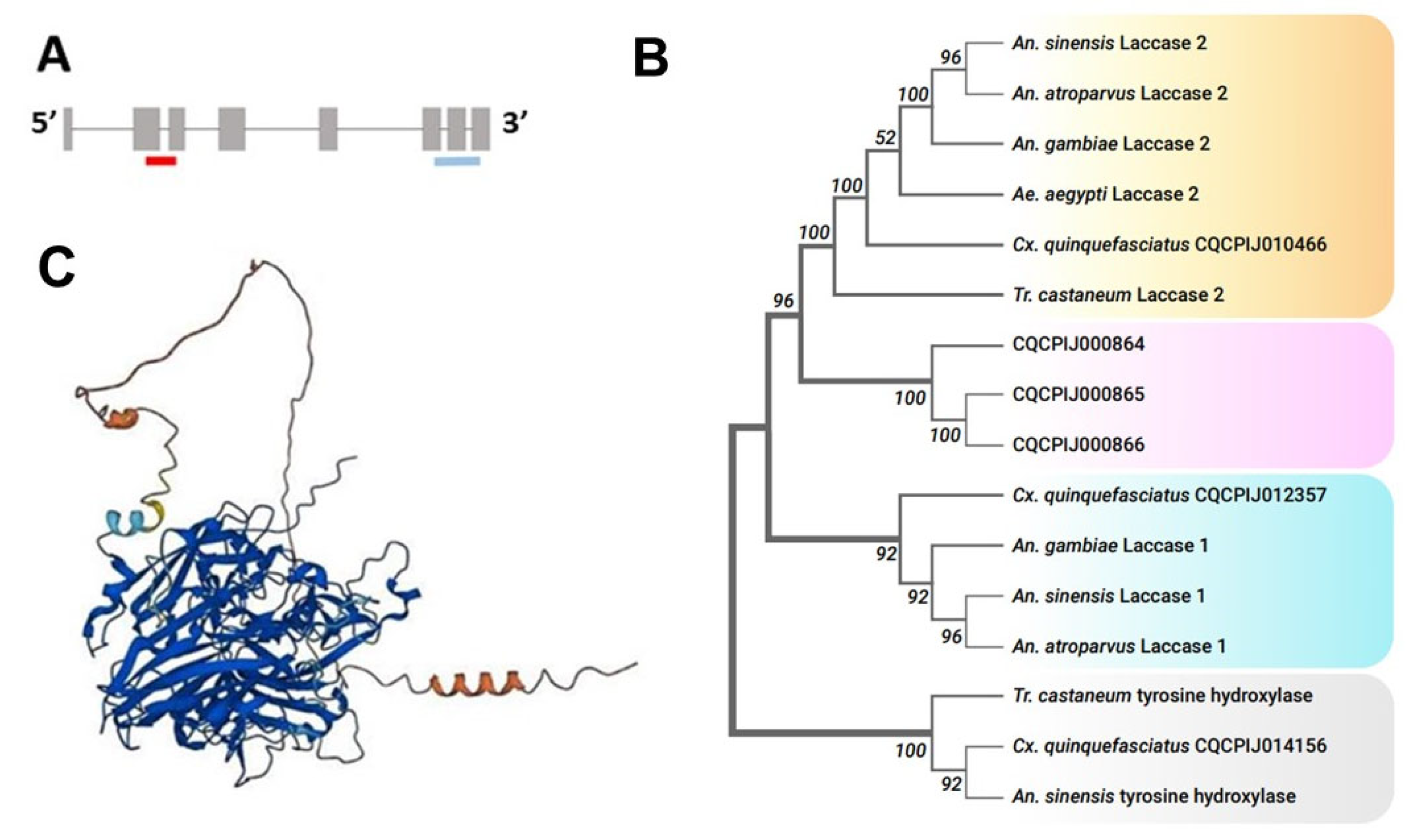 Insects 15 00193 g001