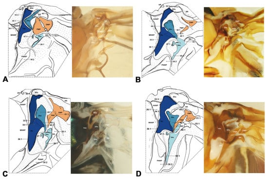Insects 15 00199 g005