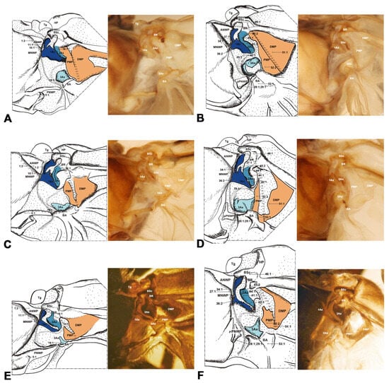 Insects 15 00199 g006