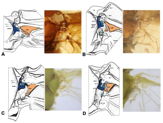 Insects 15 00199 g007