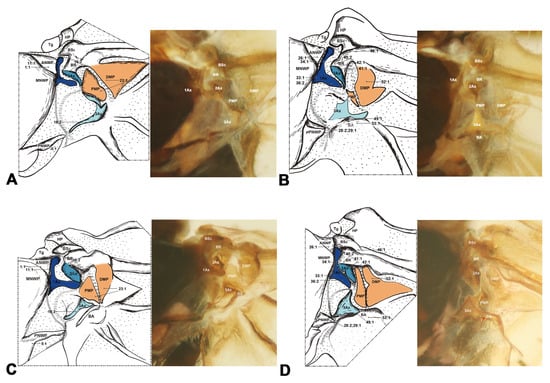 Insects 15 00199 g008