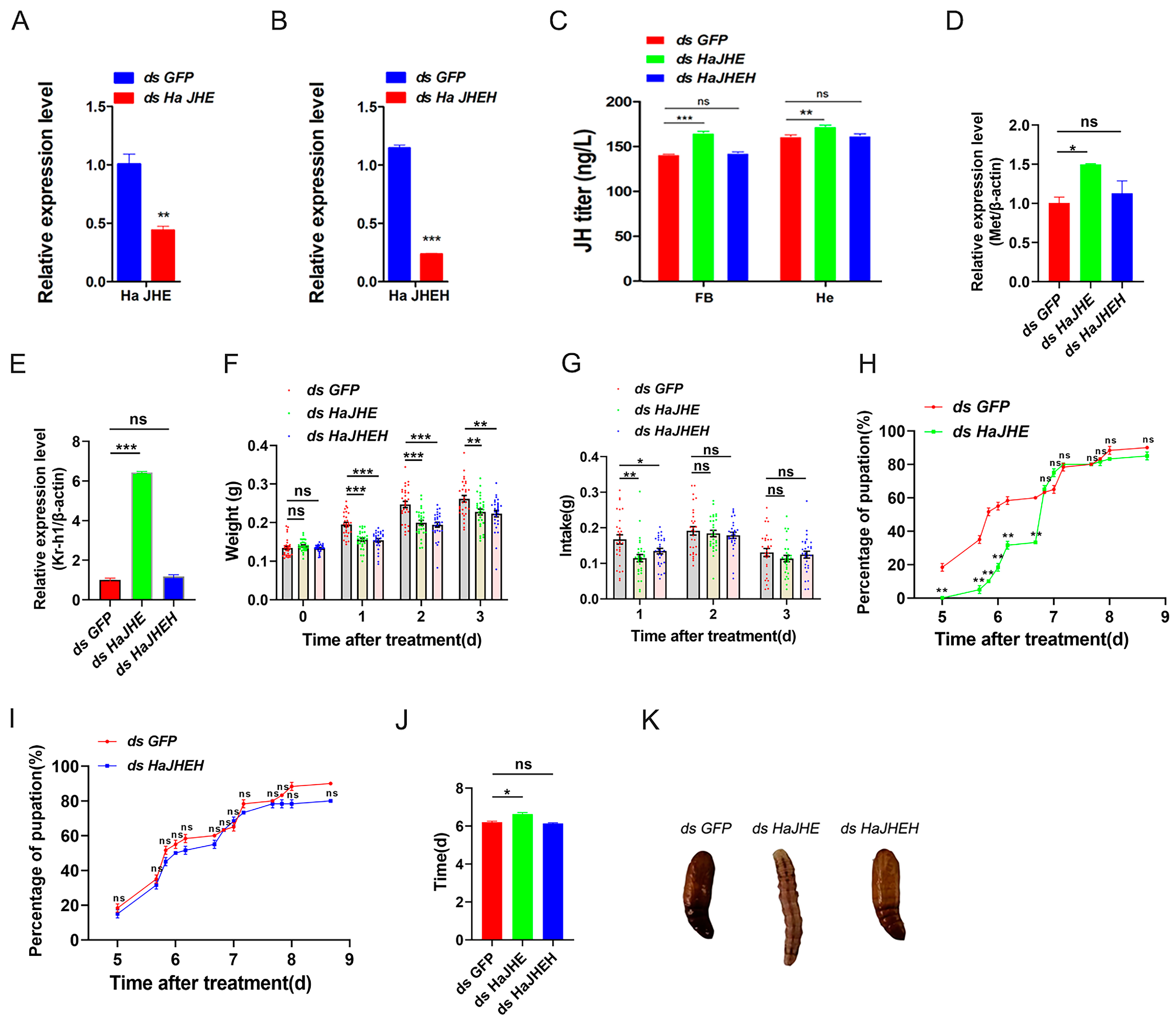 Insects 15 00202 g005