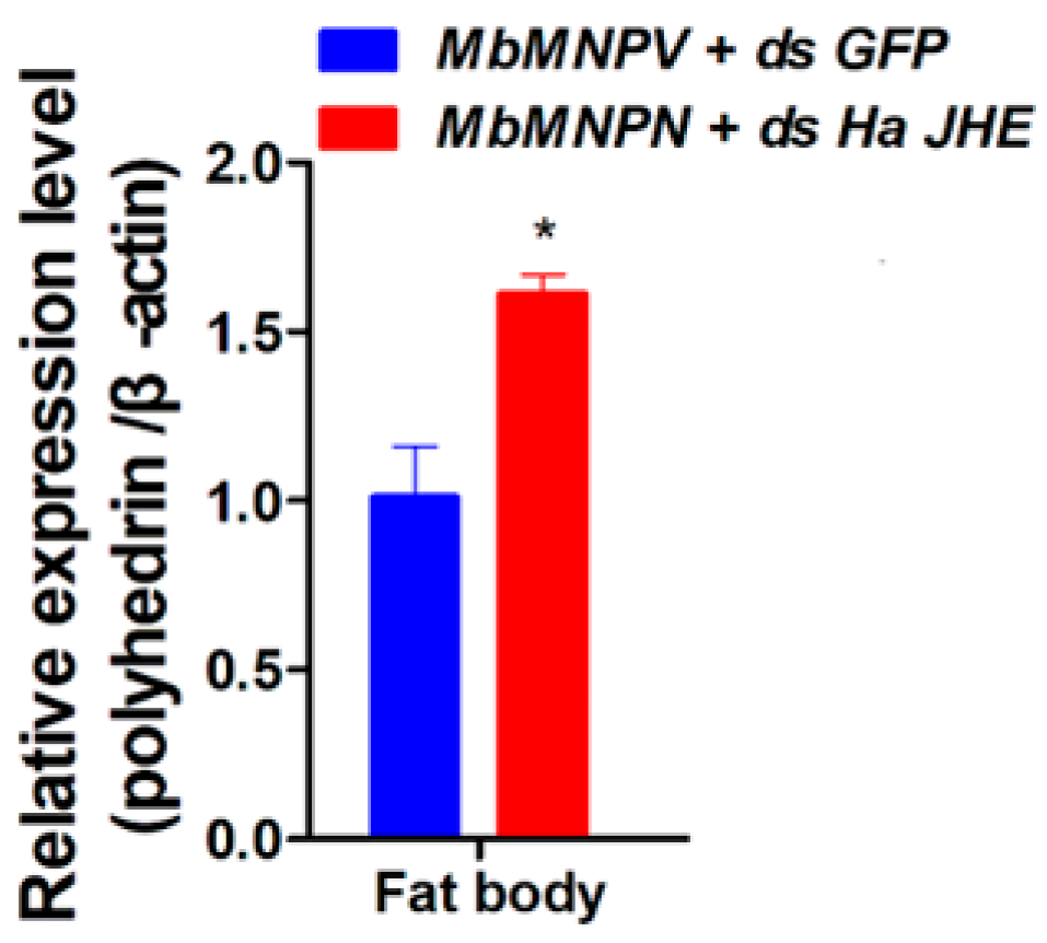 Insects 15 00202 g007