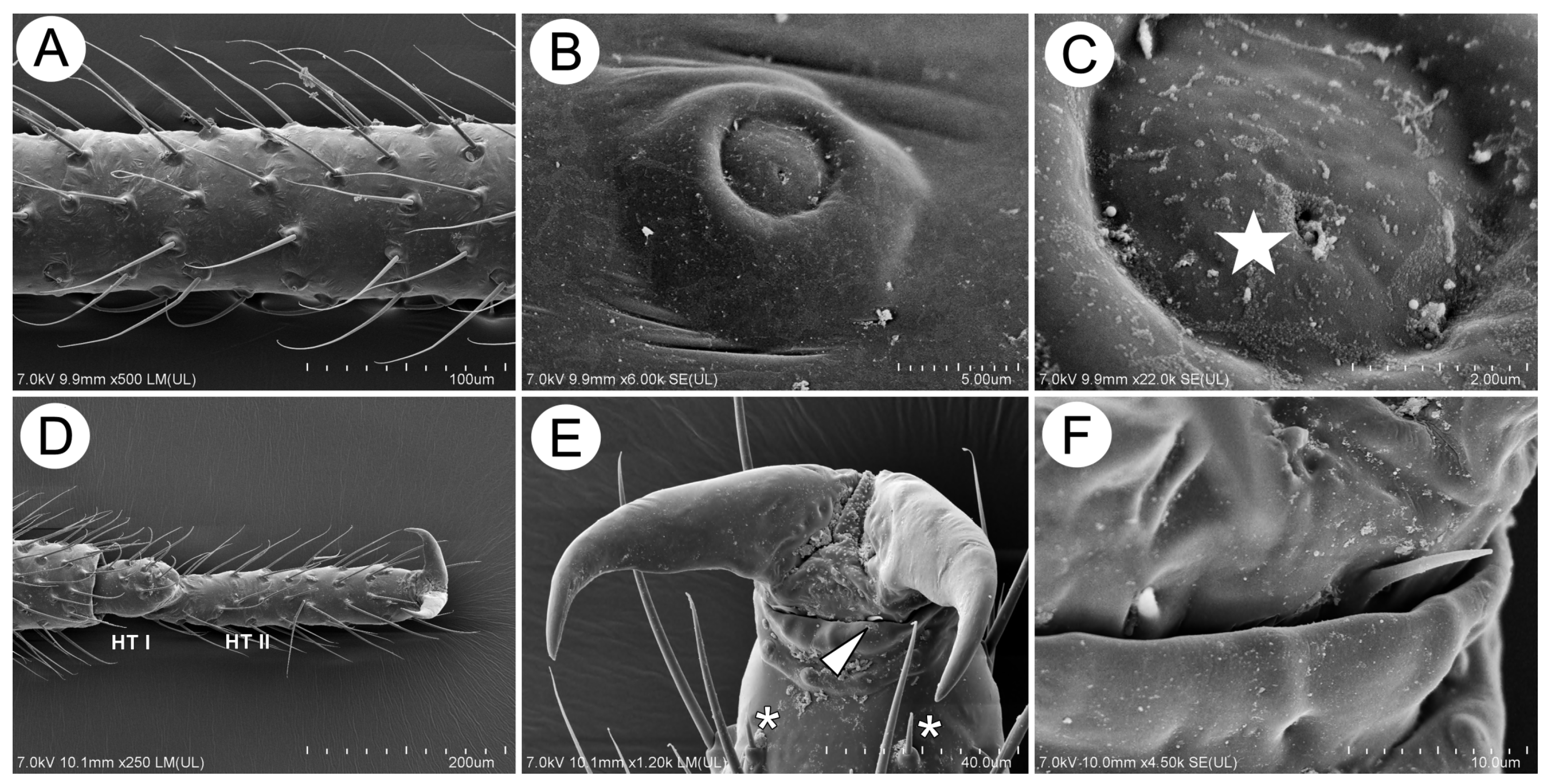 Insects 15 00203 g016 Insects 15 00203 g016