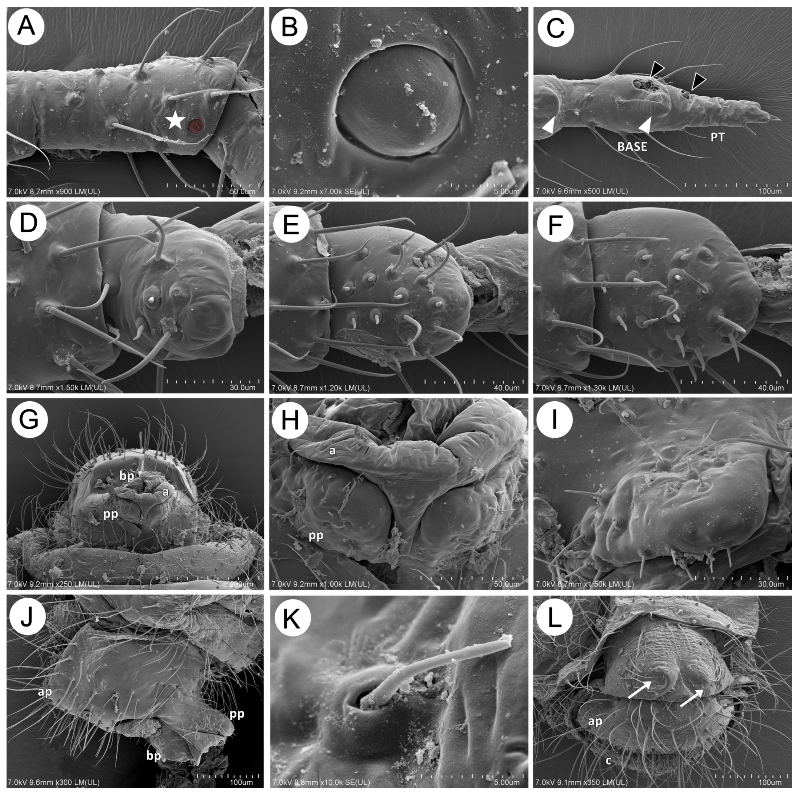 Insects 15 00203 g019 Insects 15 00203 g019