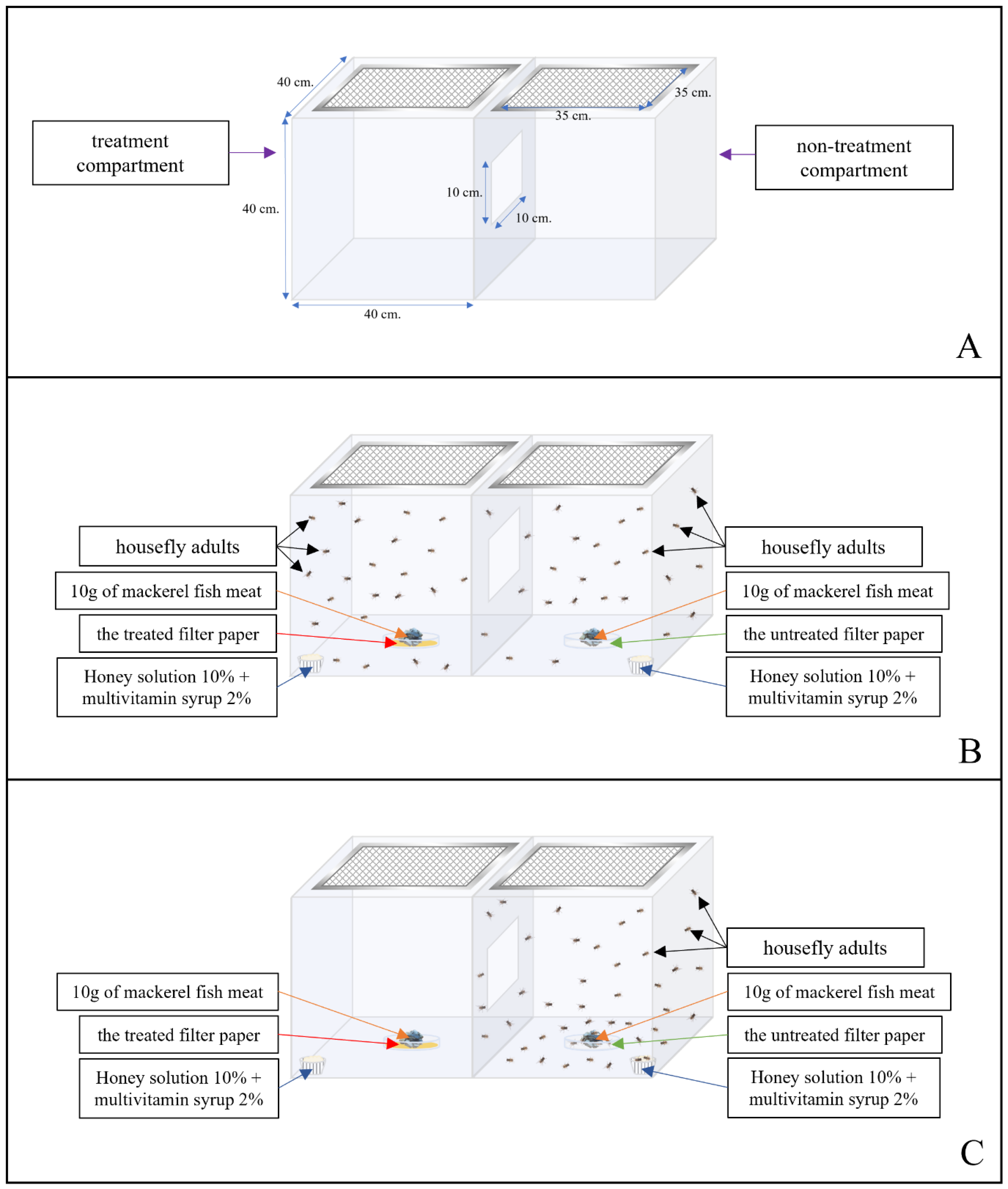 Insects 15 00210 g001