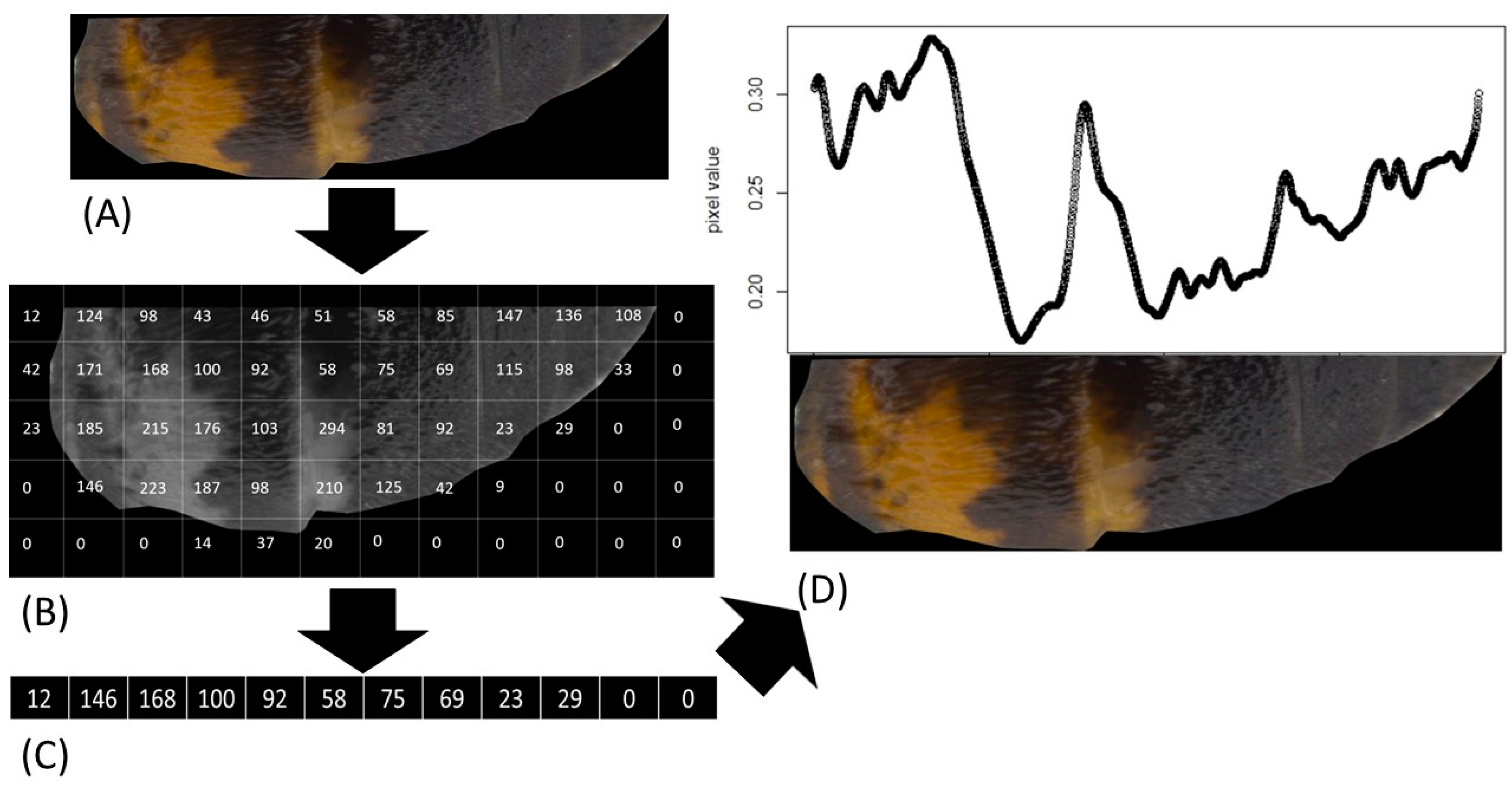Insects 15 00213 g001
