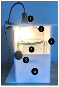 Insects 15 00221 i001