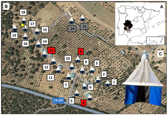 Insects 15 00222 g001