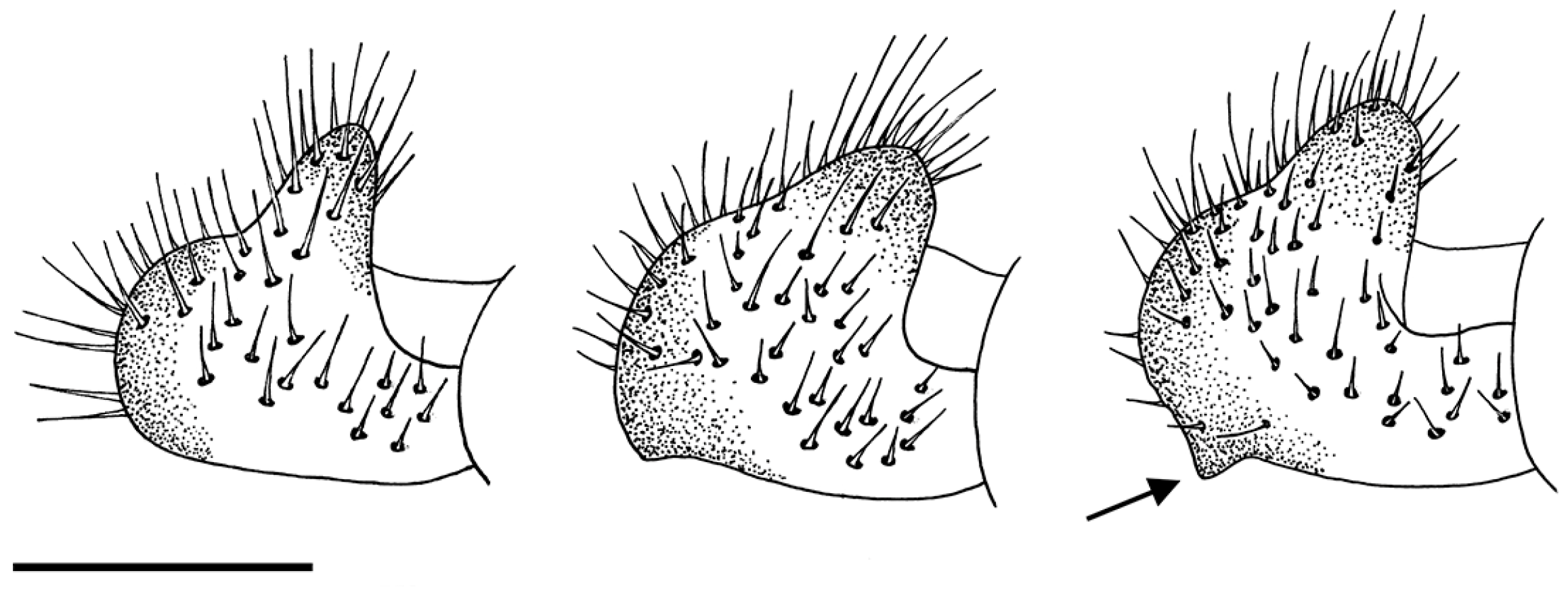 Insects 15 00239 g002