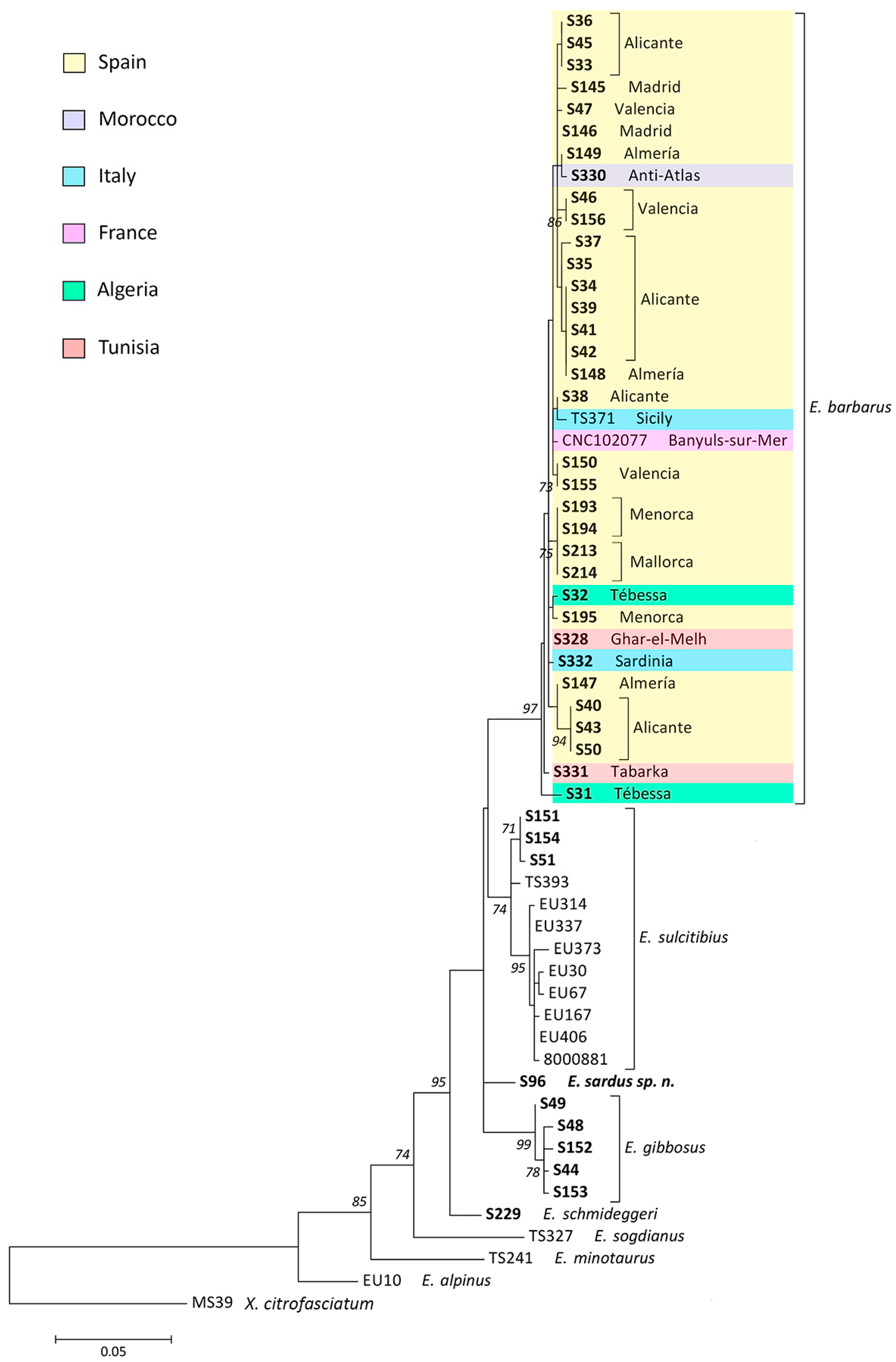 Insects 15 00239 g005