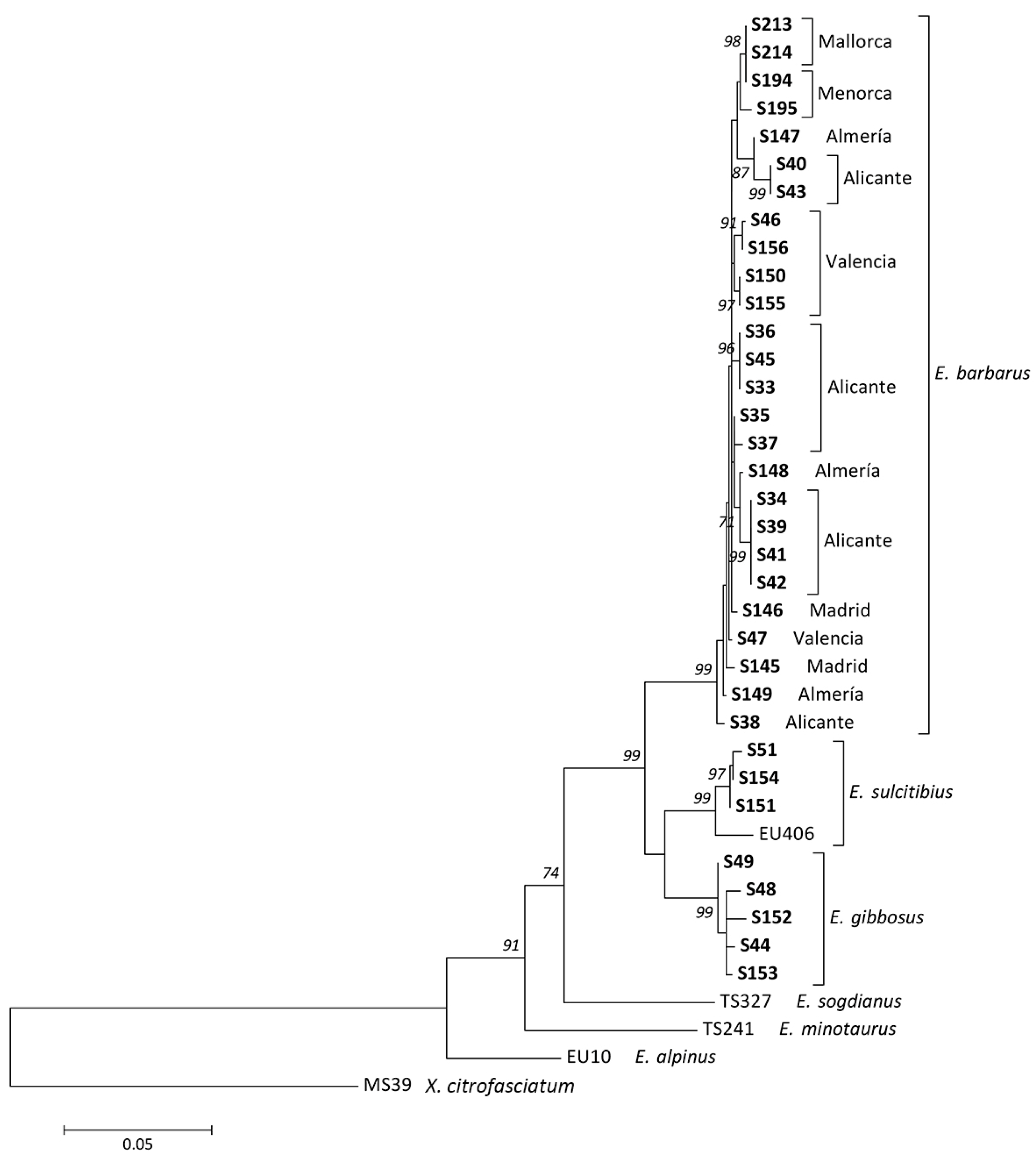 Insects 15 00239 g006