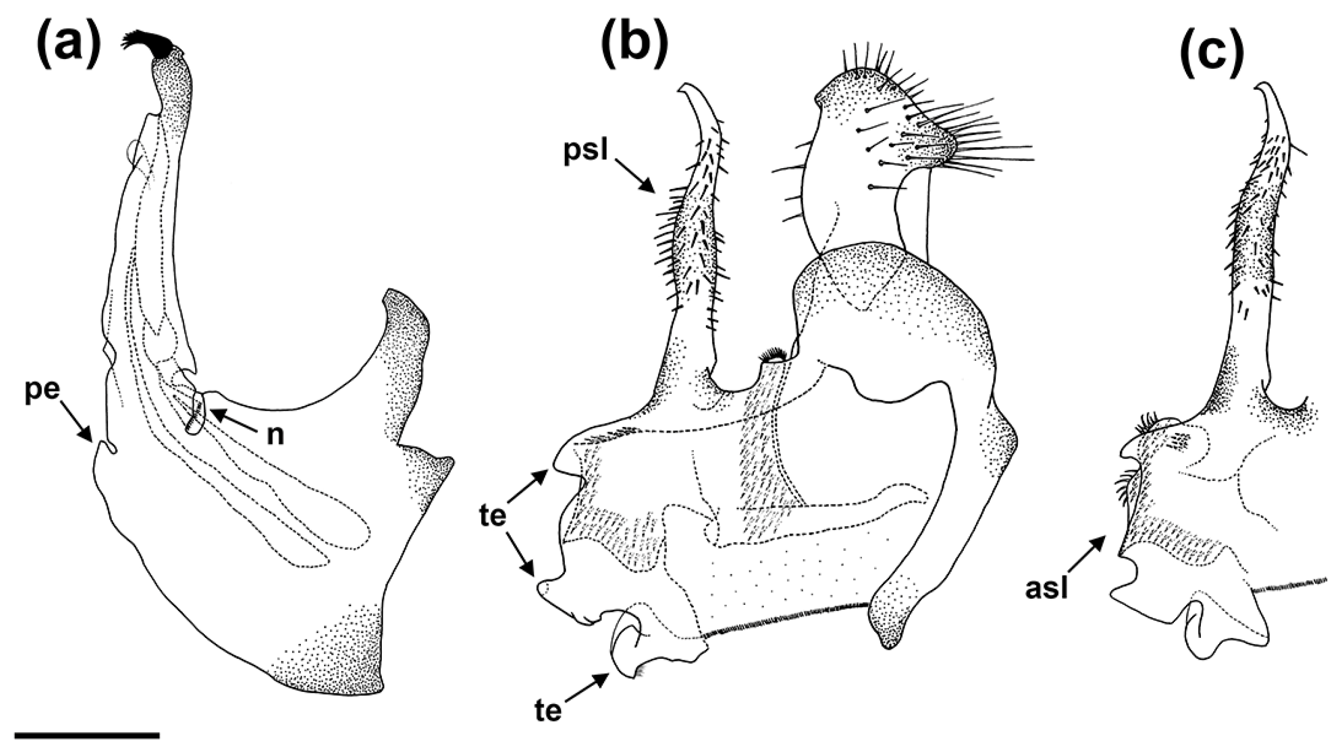 Insects 15 00239 g010