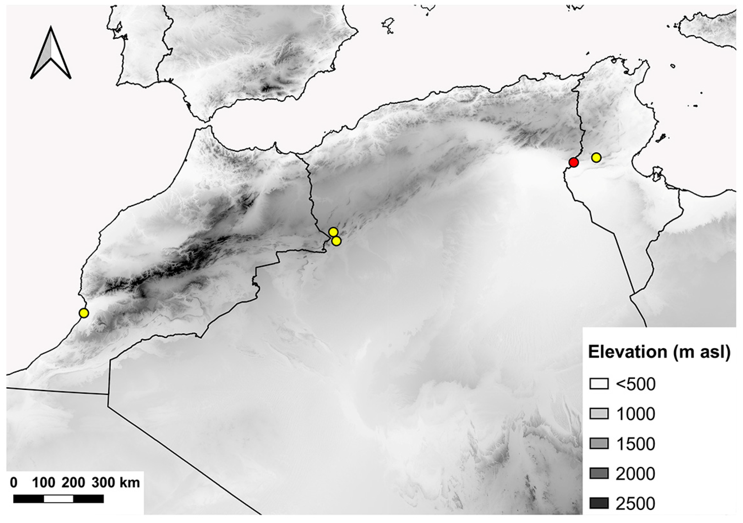 Insects 15 00239 g015