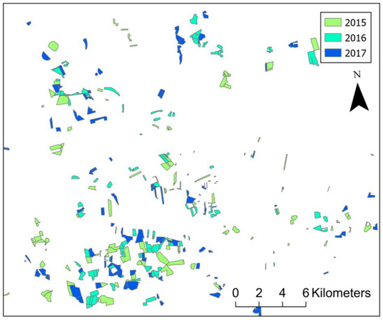 Insects 15 00249 g0a1