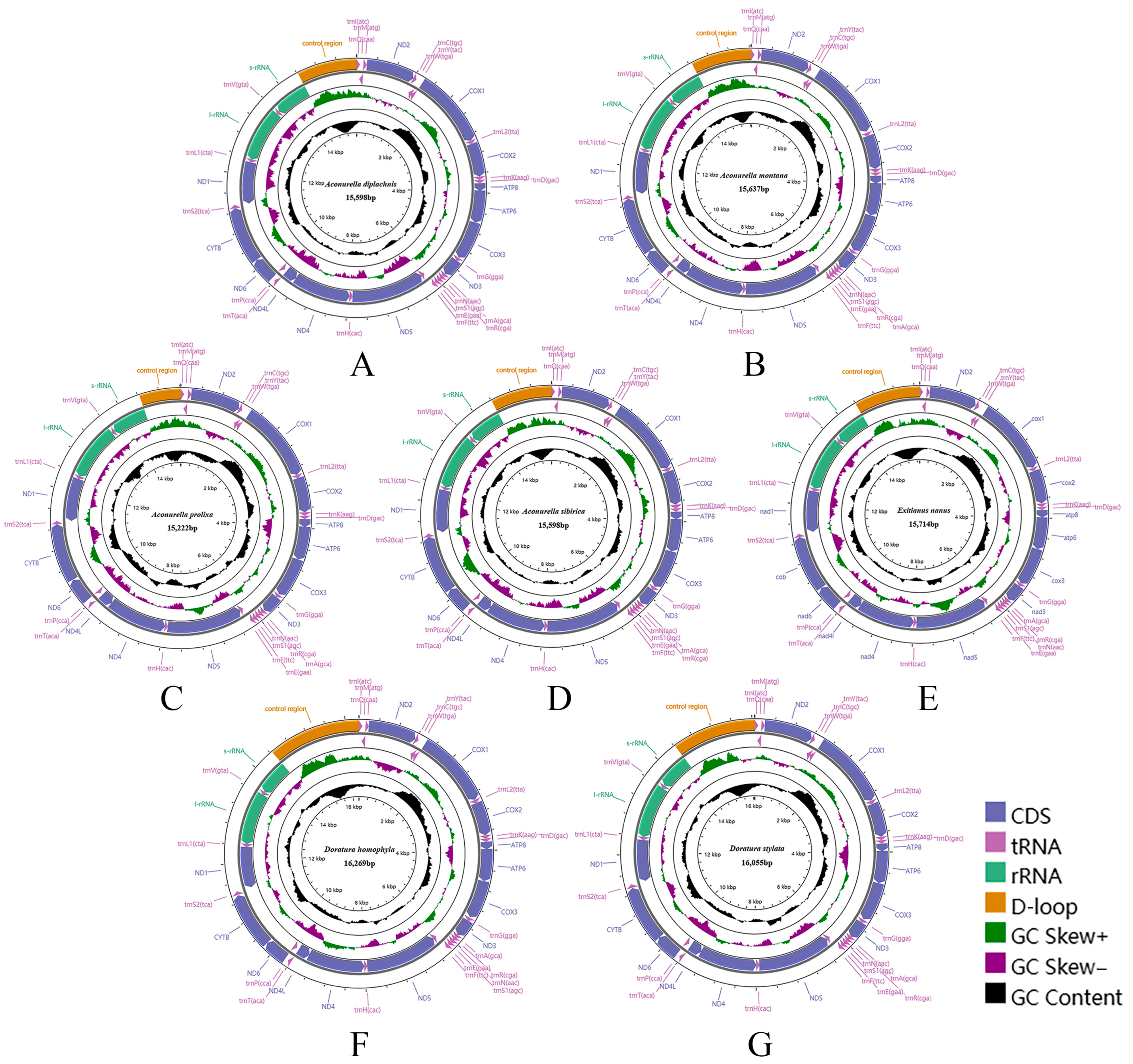 Insects 15 00253 g001