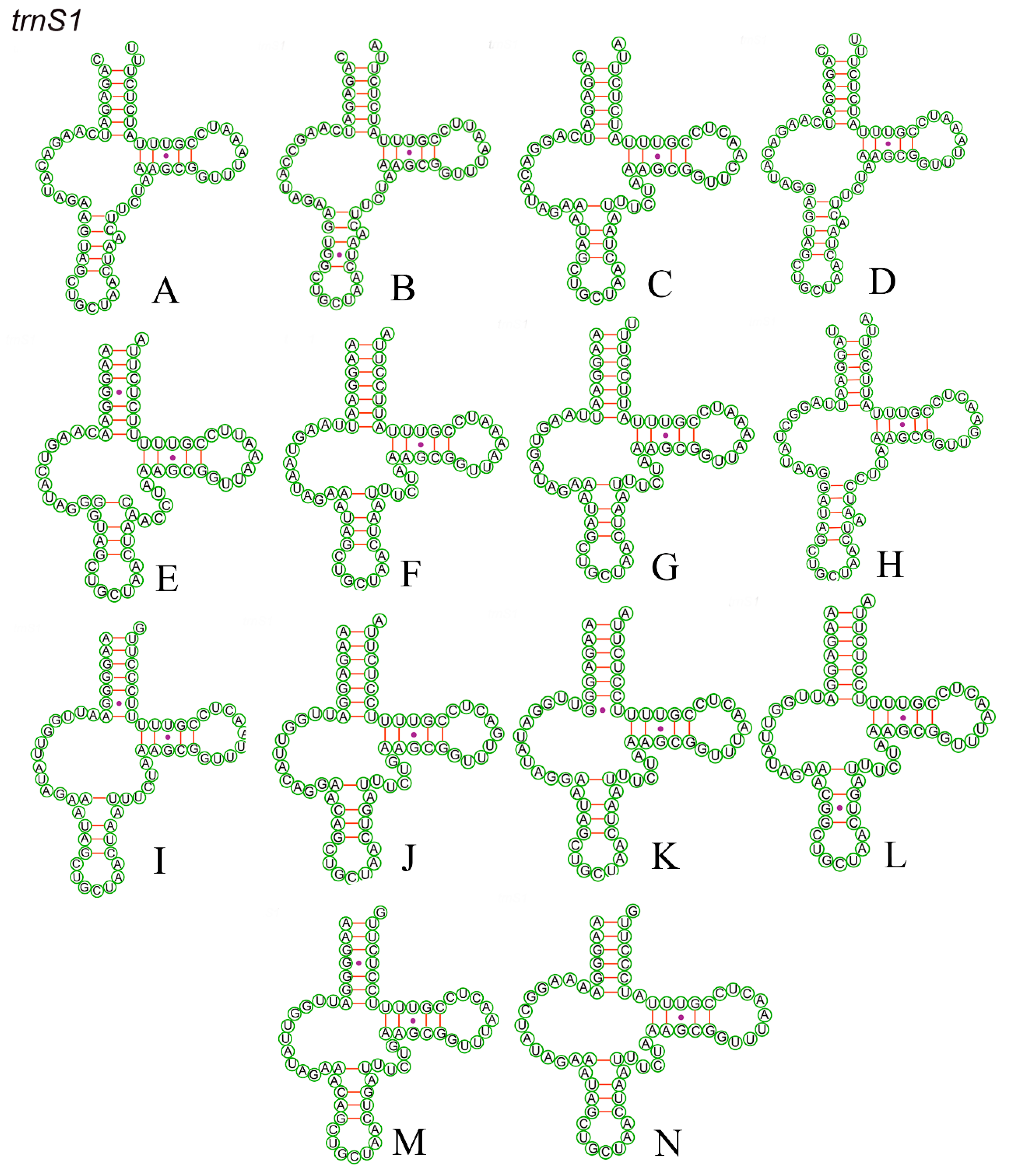 Insects 15 00253 g007