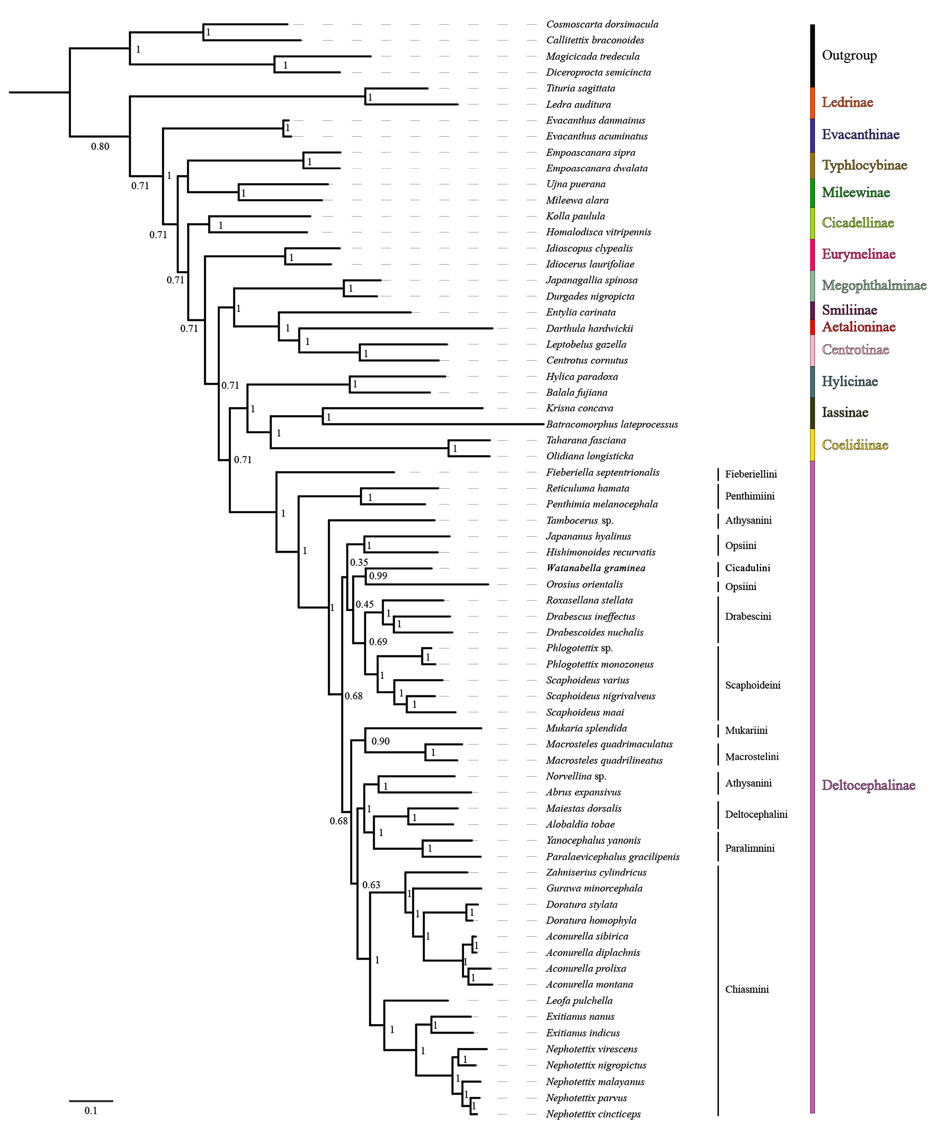 Insects 15 00253 g008