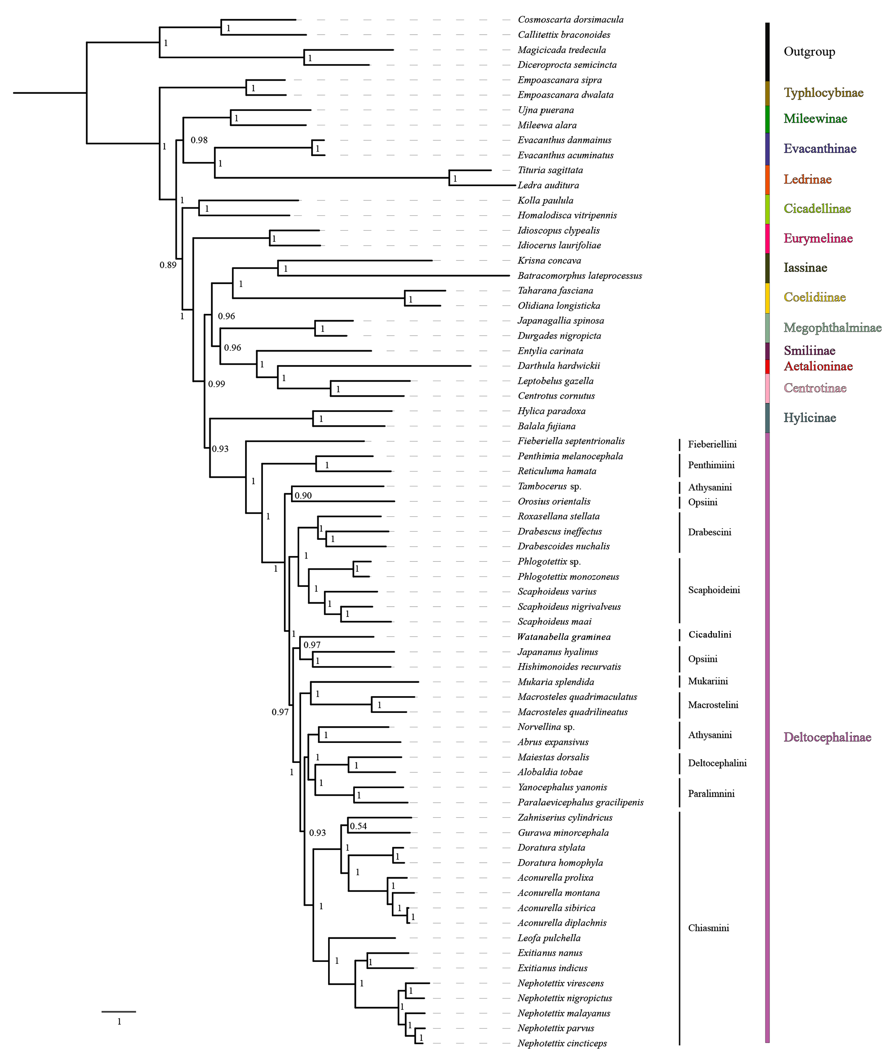 Insects 15 00253 g009