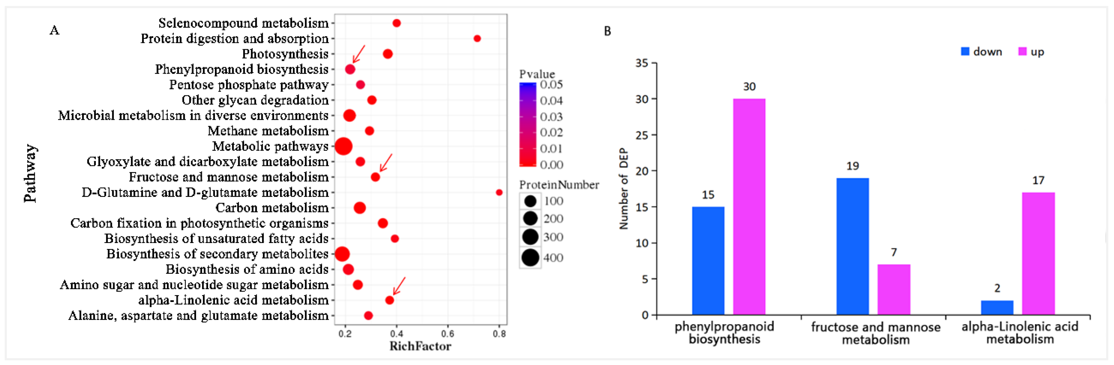 Insects 15 00254 g004