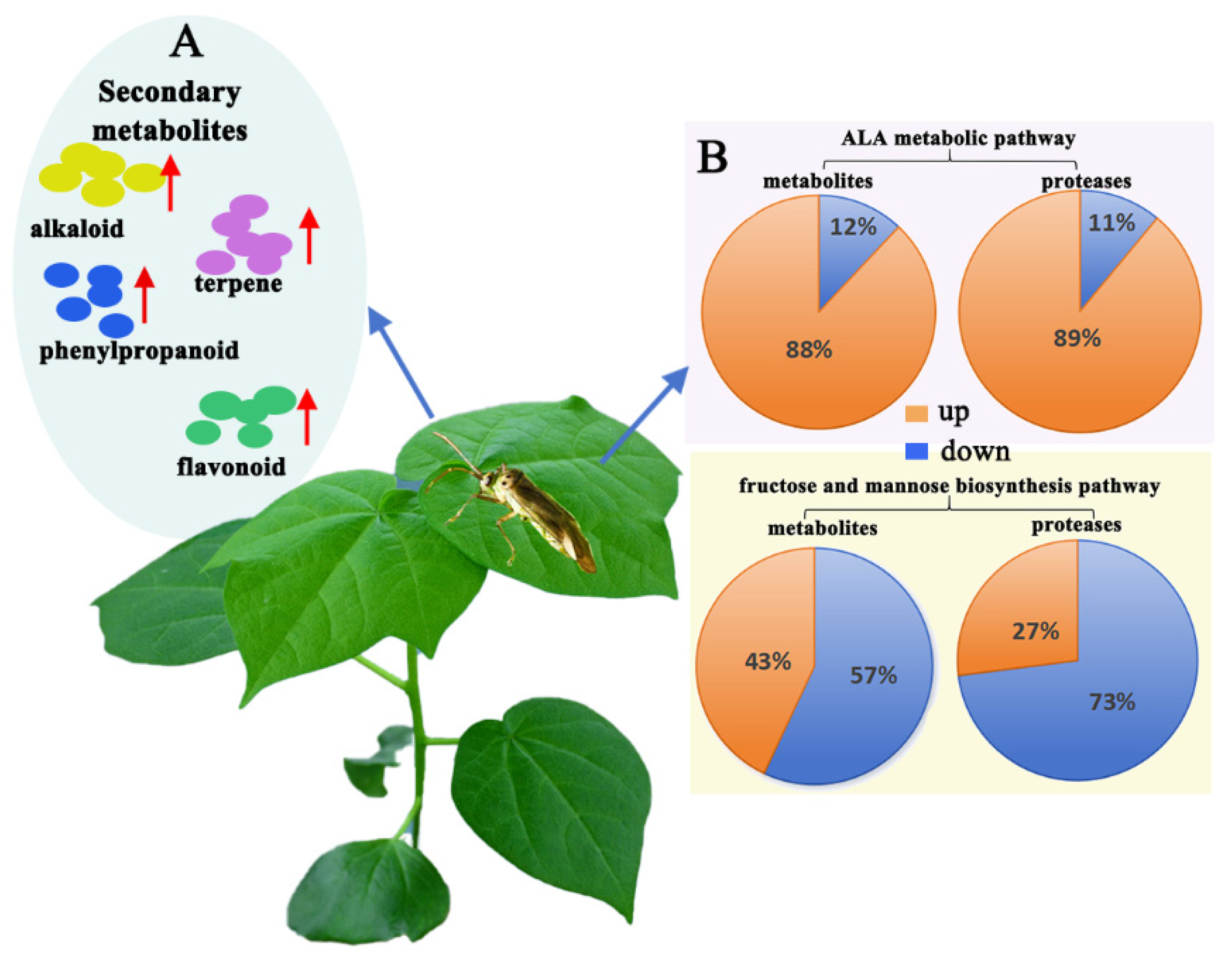 Insects 15 00254 g009