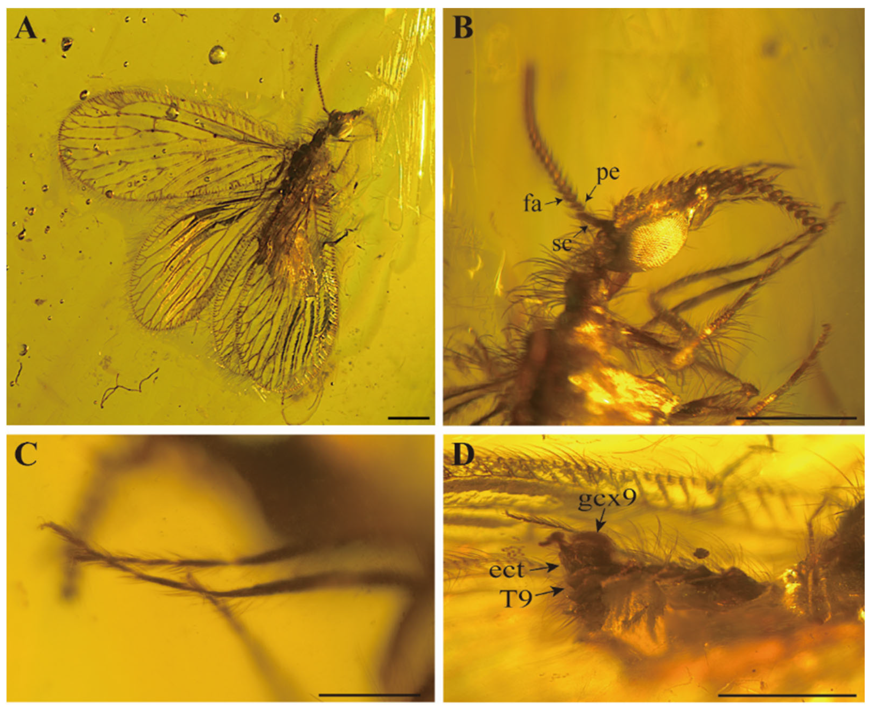 Insects 15 00259 g001 Insects 15 00259 g001