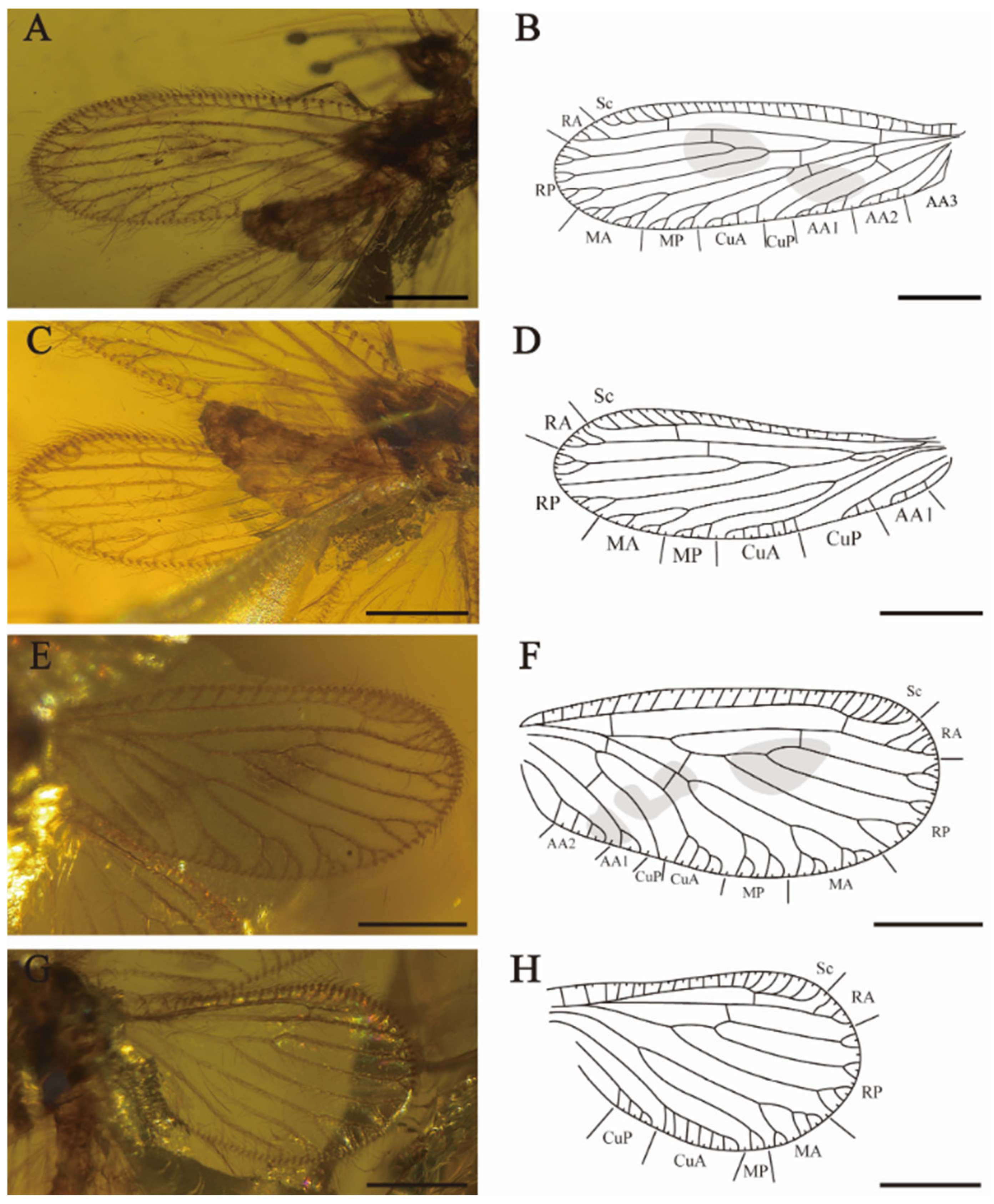Insects 15 00259 g004 Insects 15 00259 g004