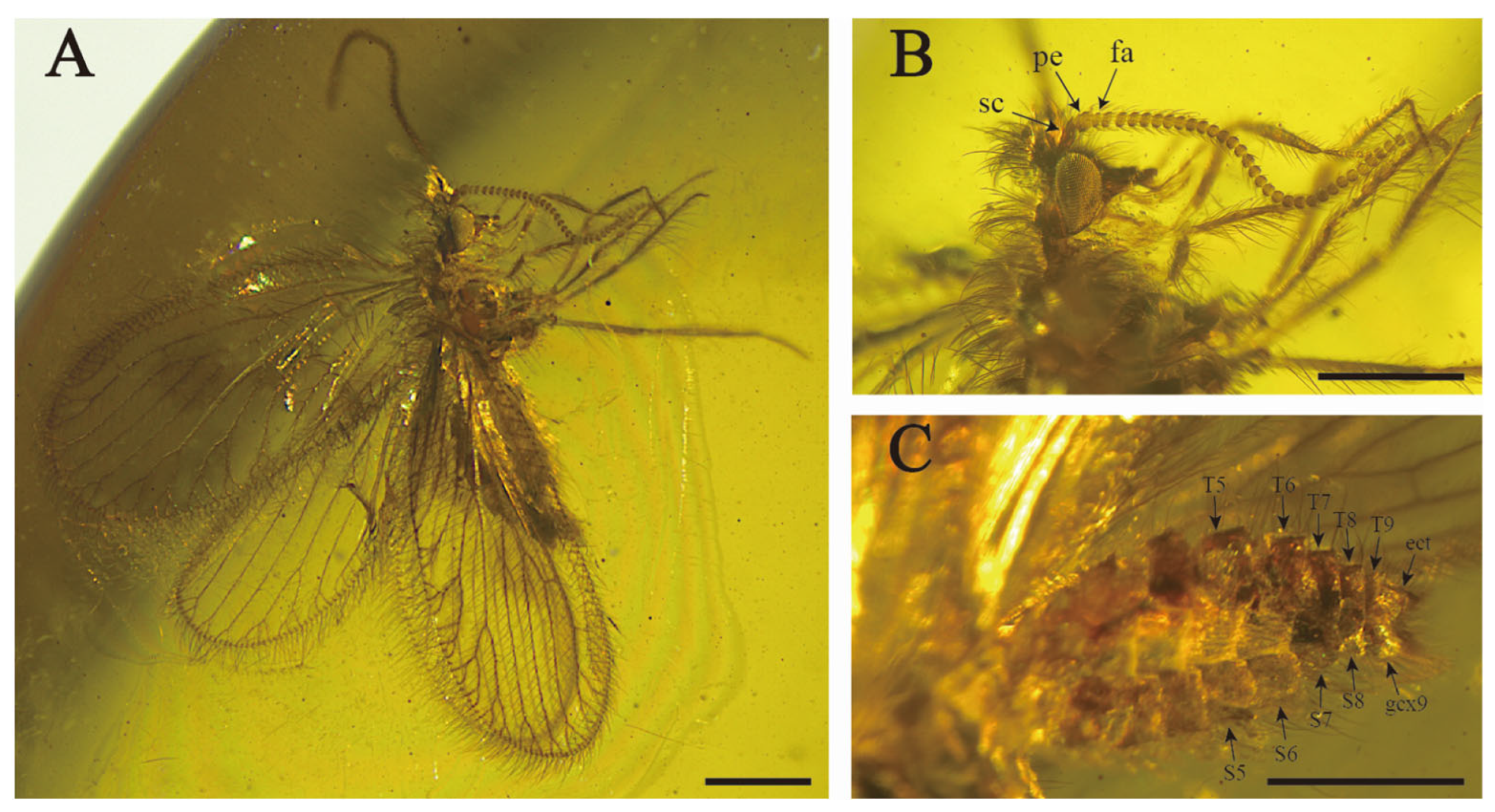 Insects 15 00259 g005 Insects 15 00259 g005
