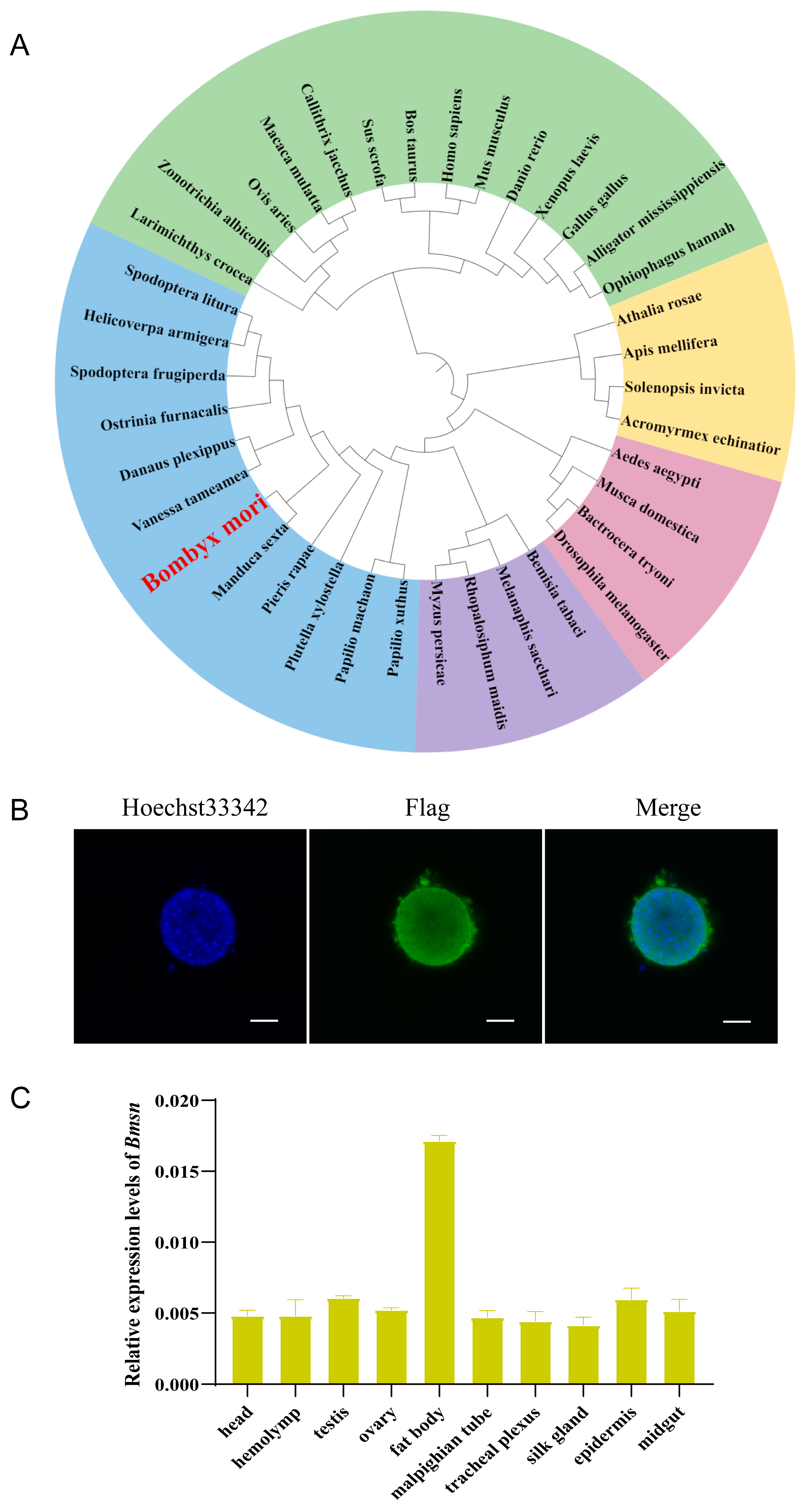Insects 15 00264 g001
