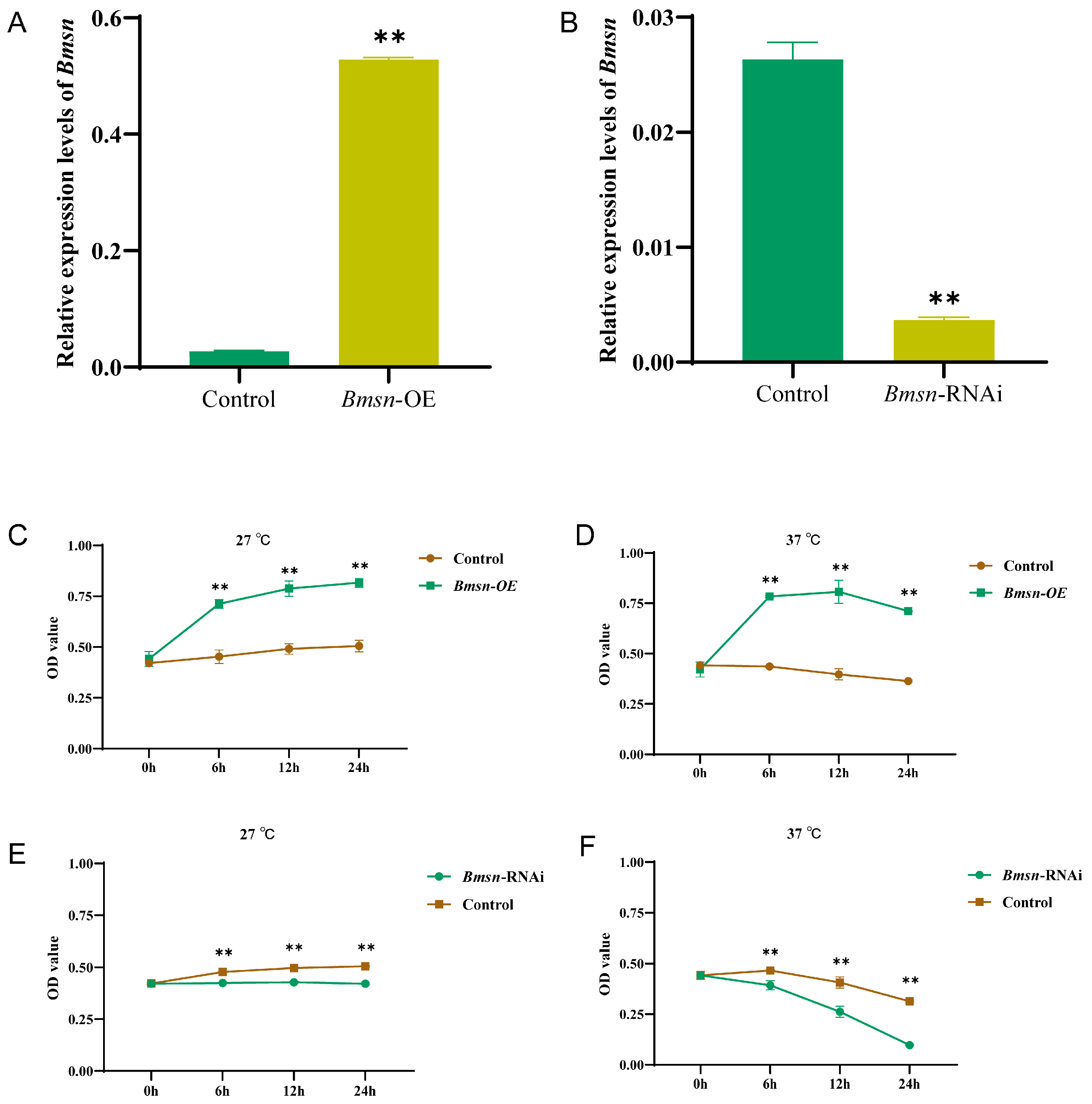 Insects 15 00264 g002