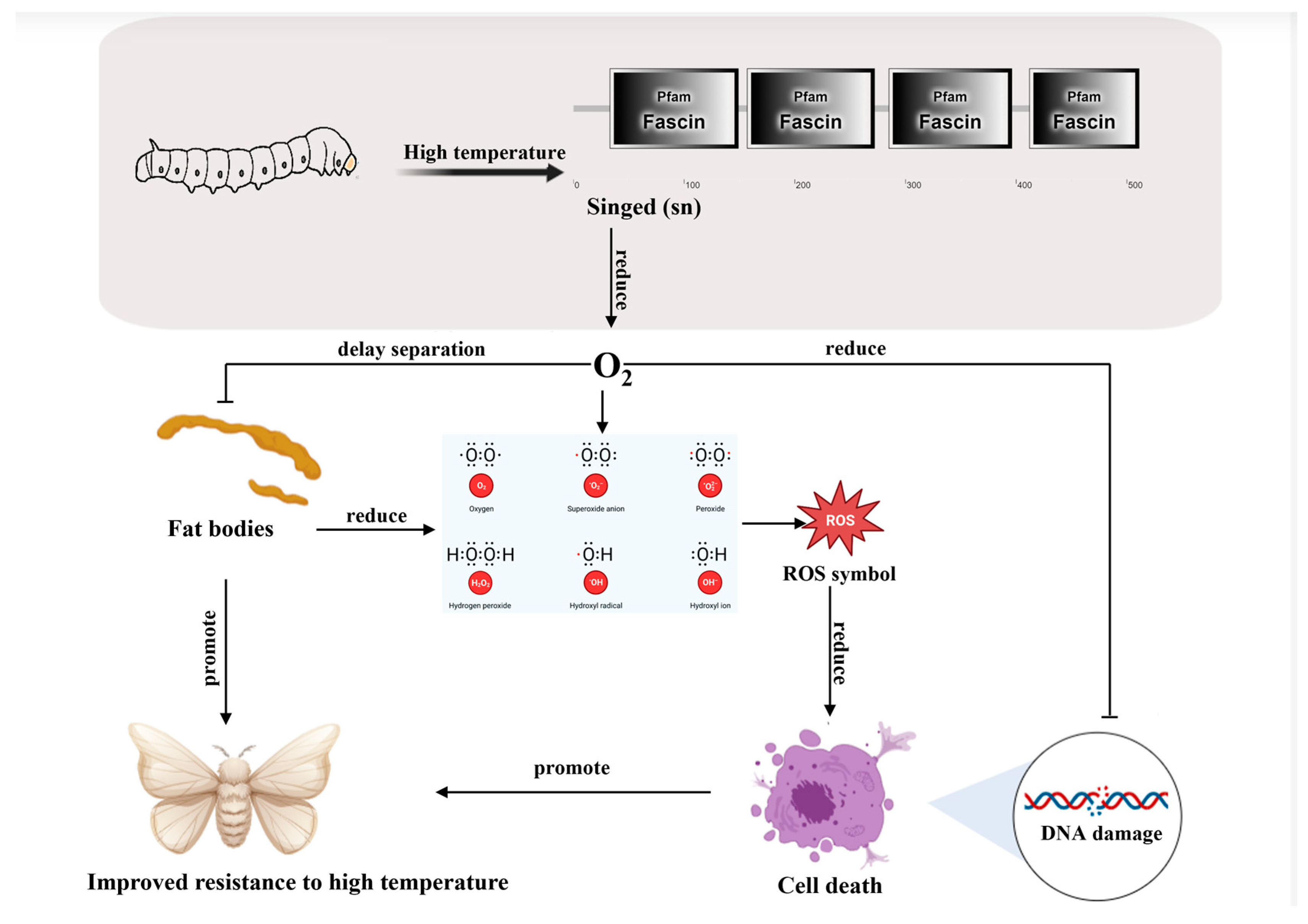 Insects 15 00264 g008