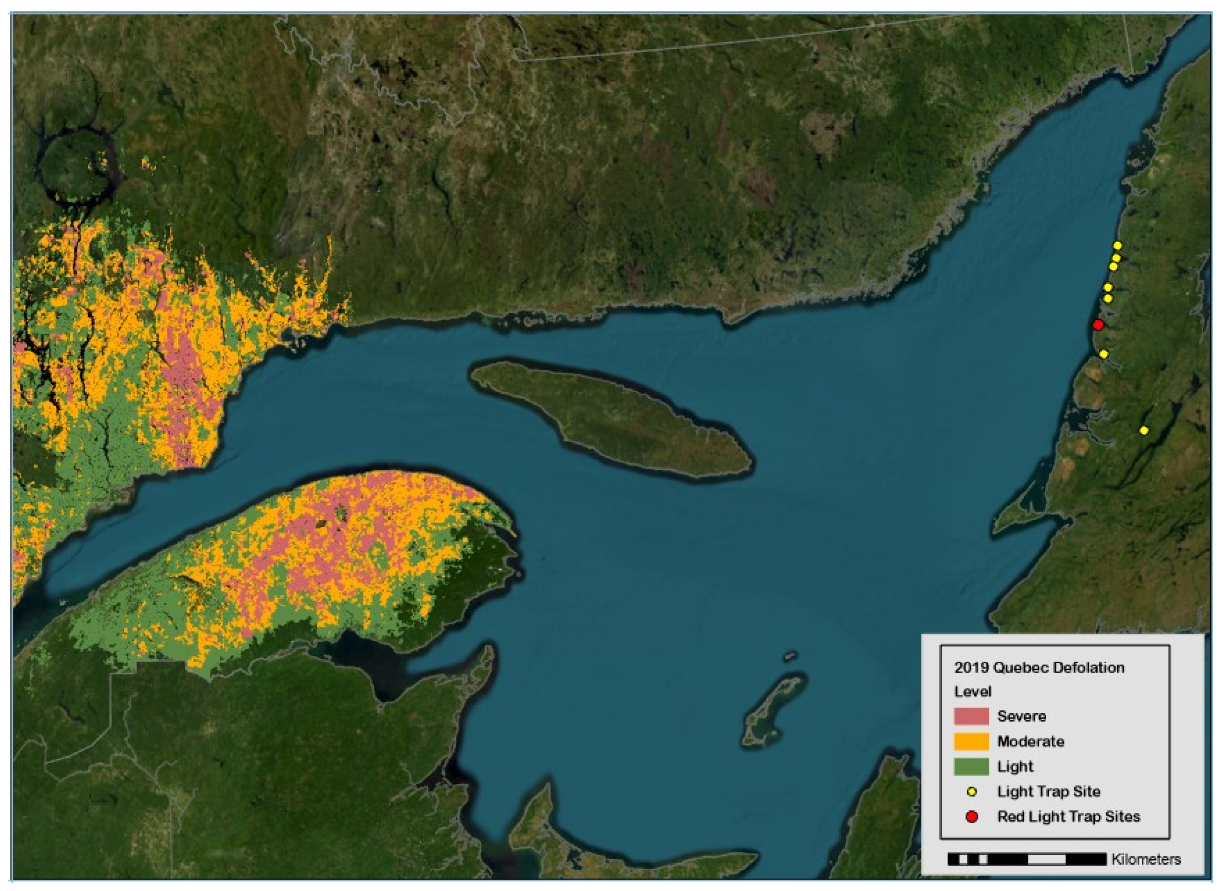 Insects 15 00267 g001