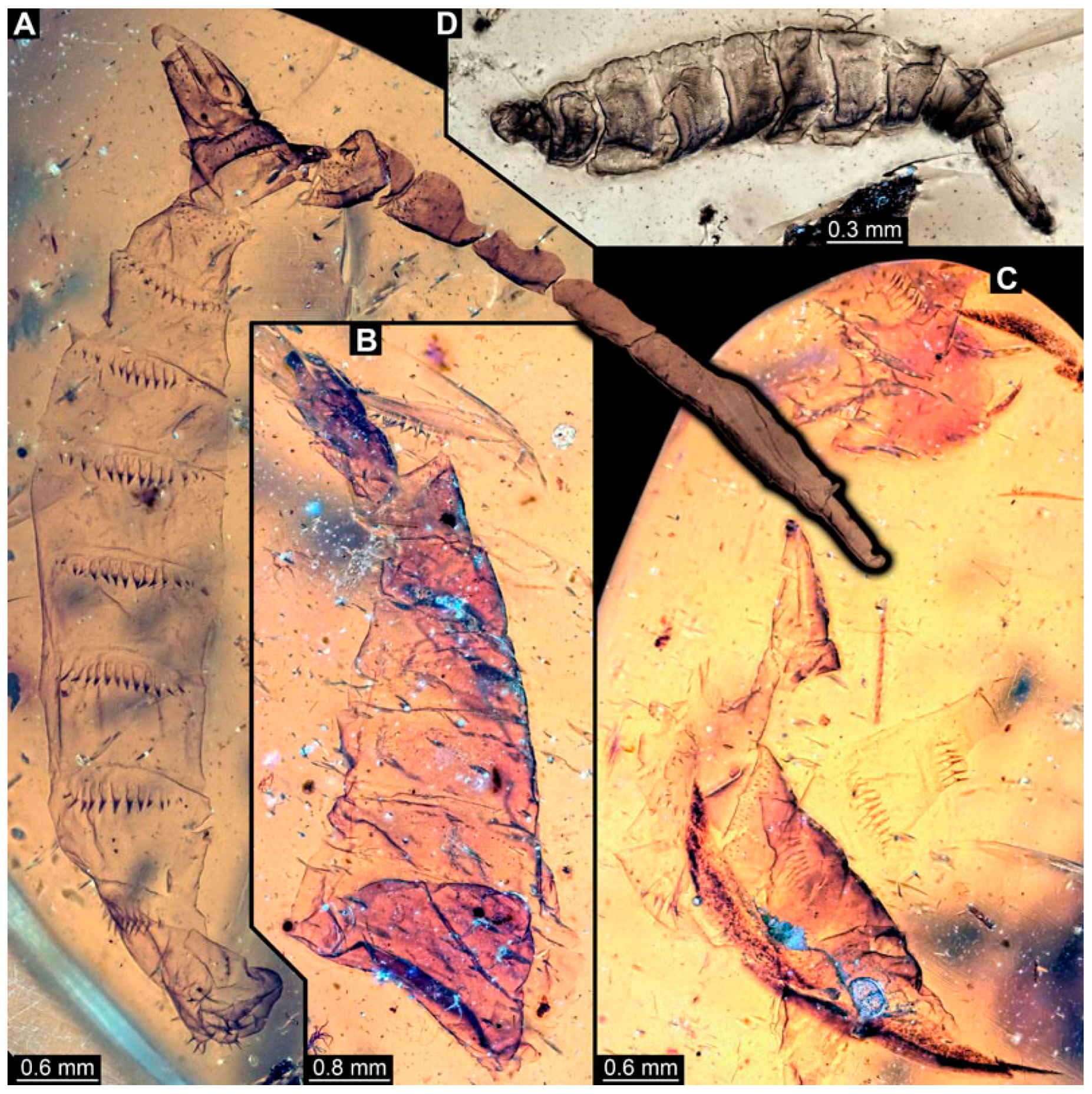Insects 15 00270 g006