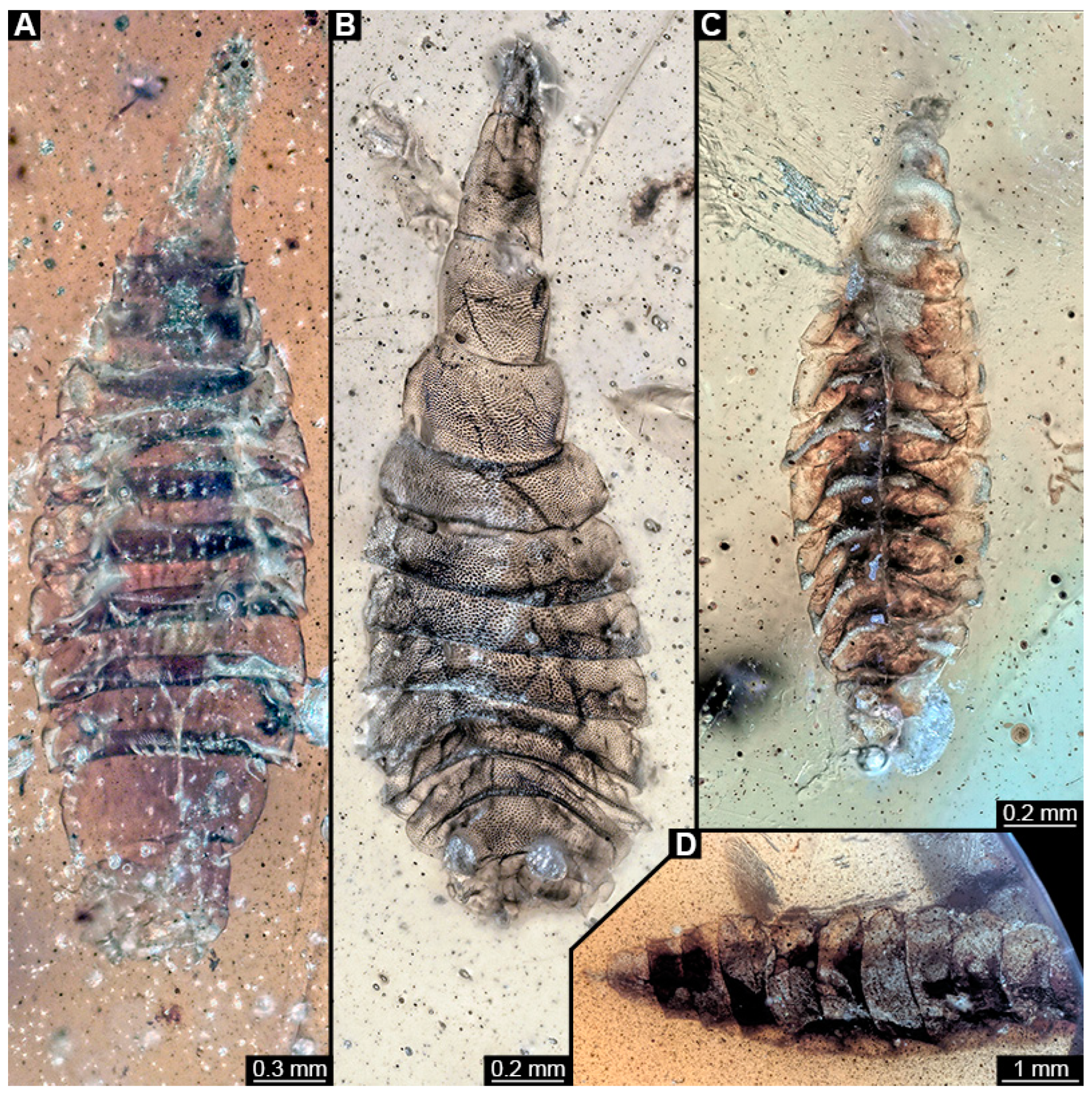 Insects 15 00270 g008