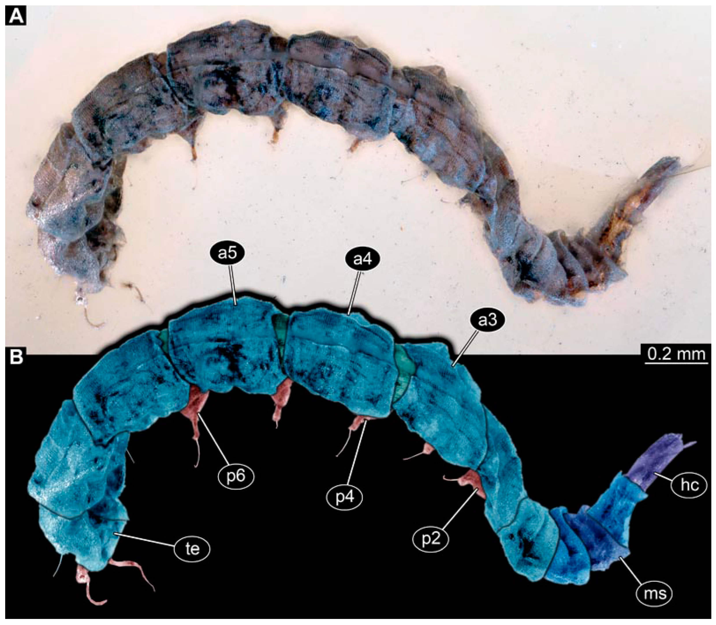 Insects 15 00270 g013