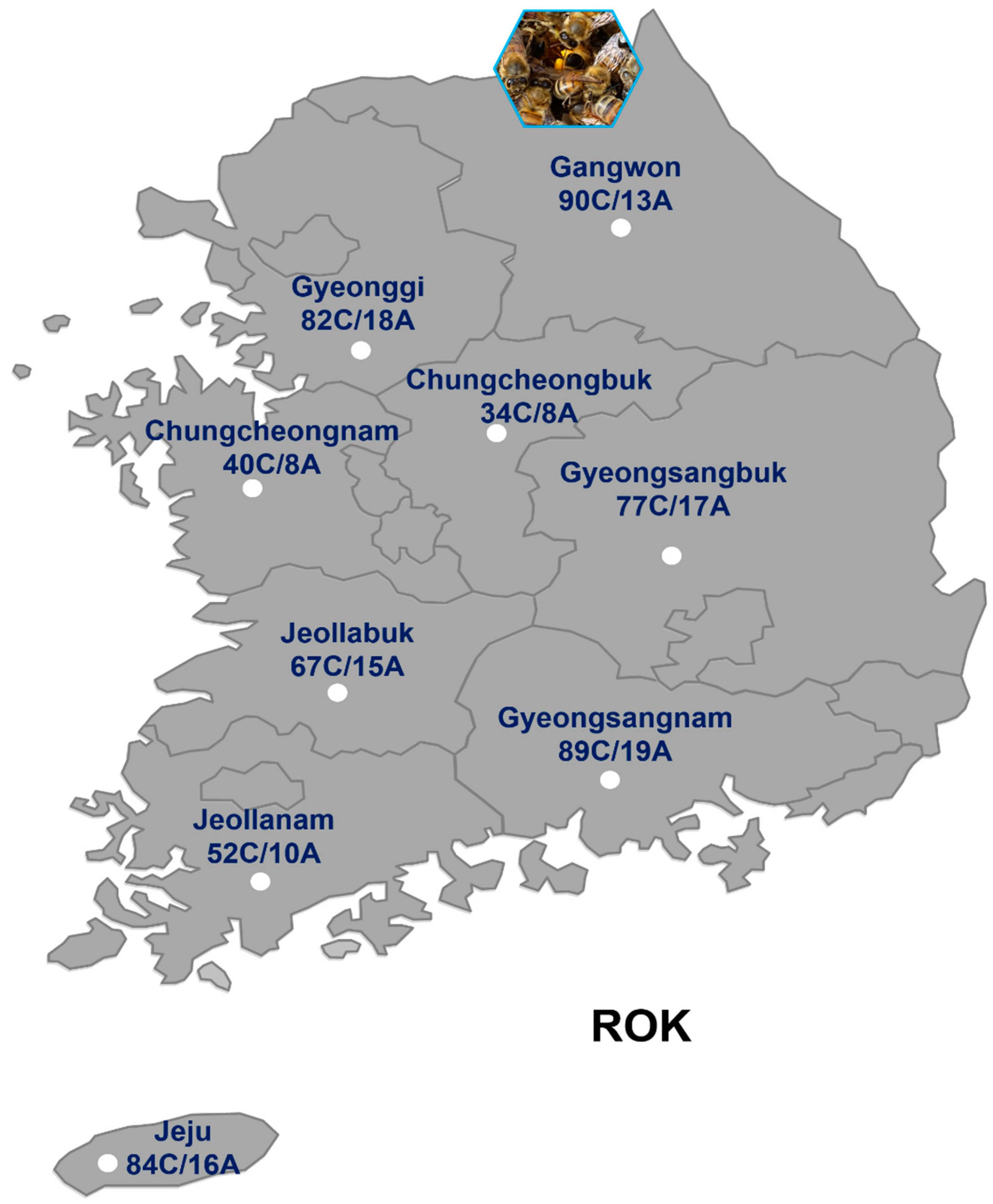 Insects 15 00271 g001