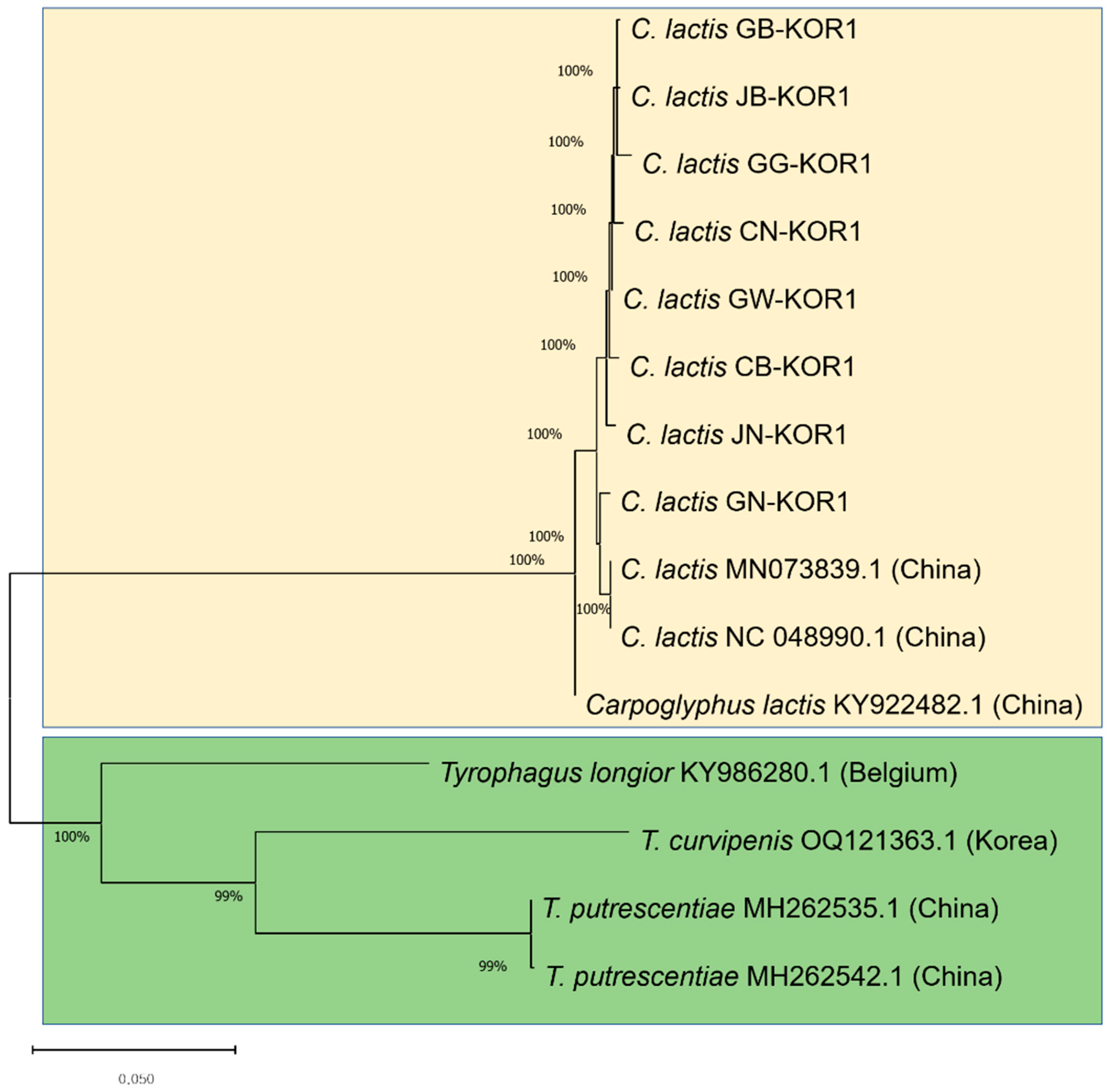 Insects 15 00271 g004