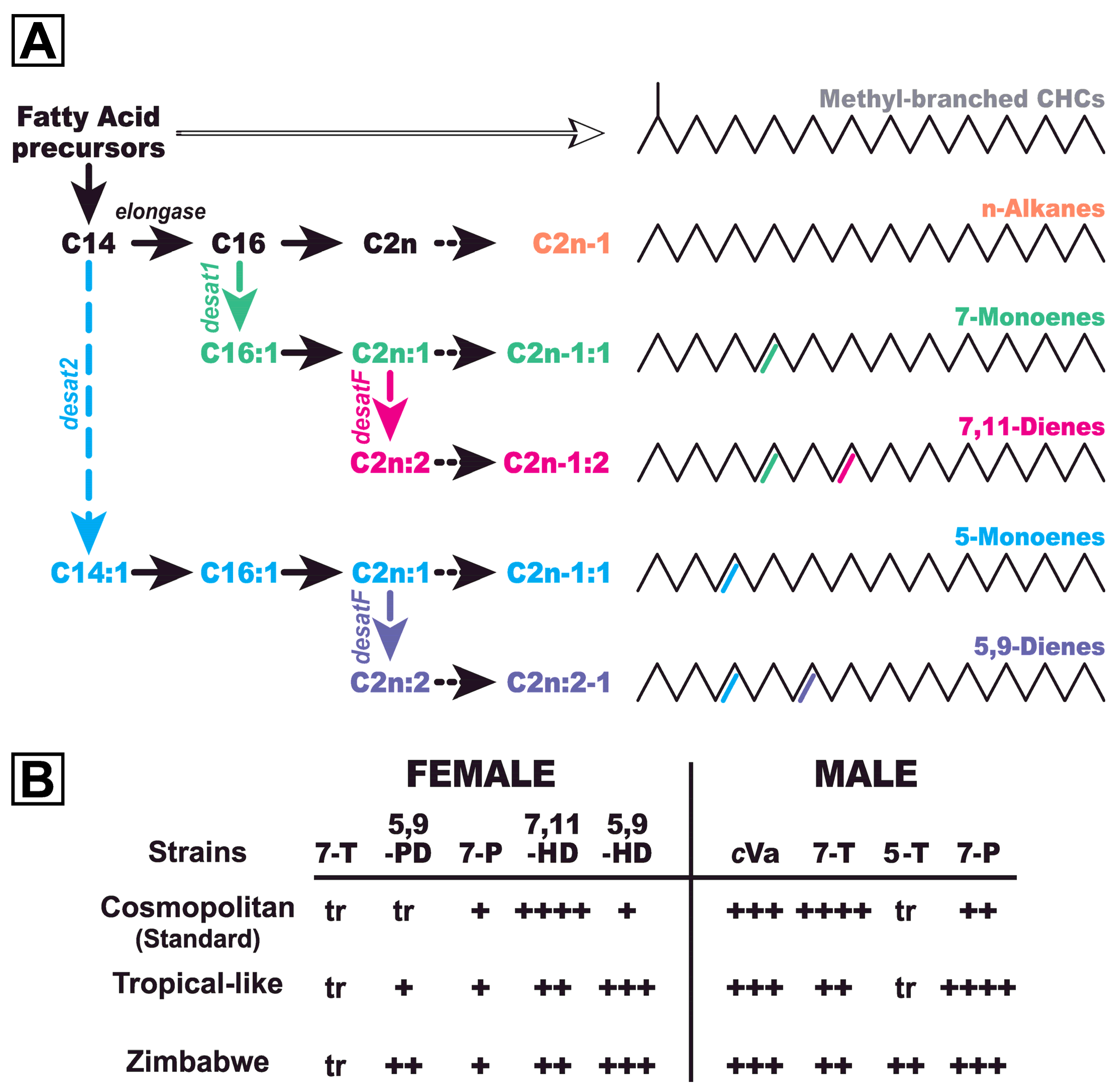Insects 15 00273 g001