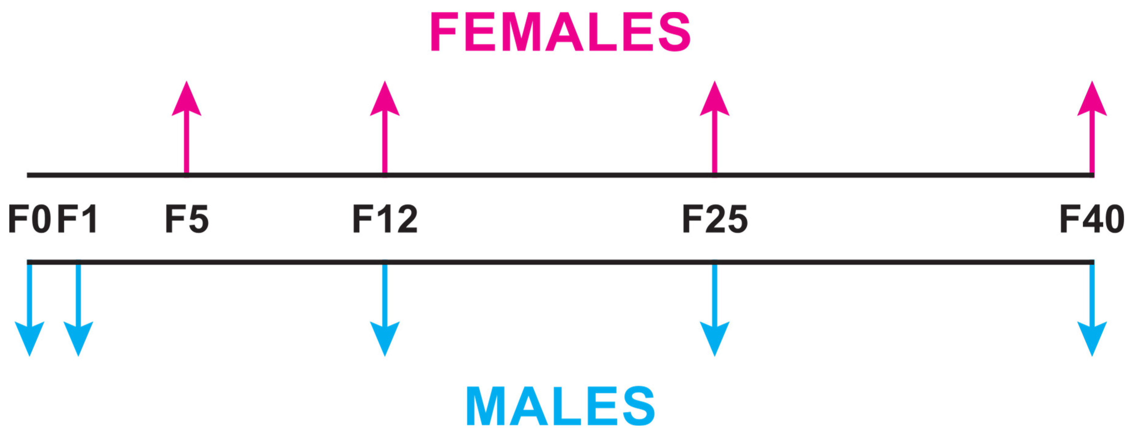 Insects 15 00273 g002