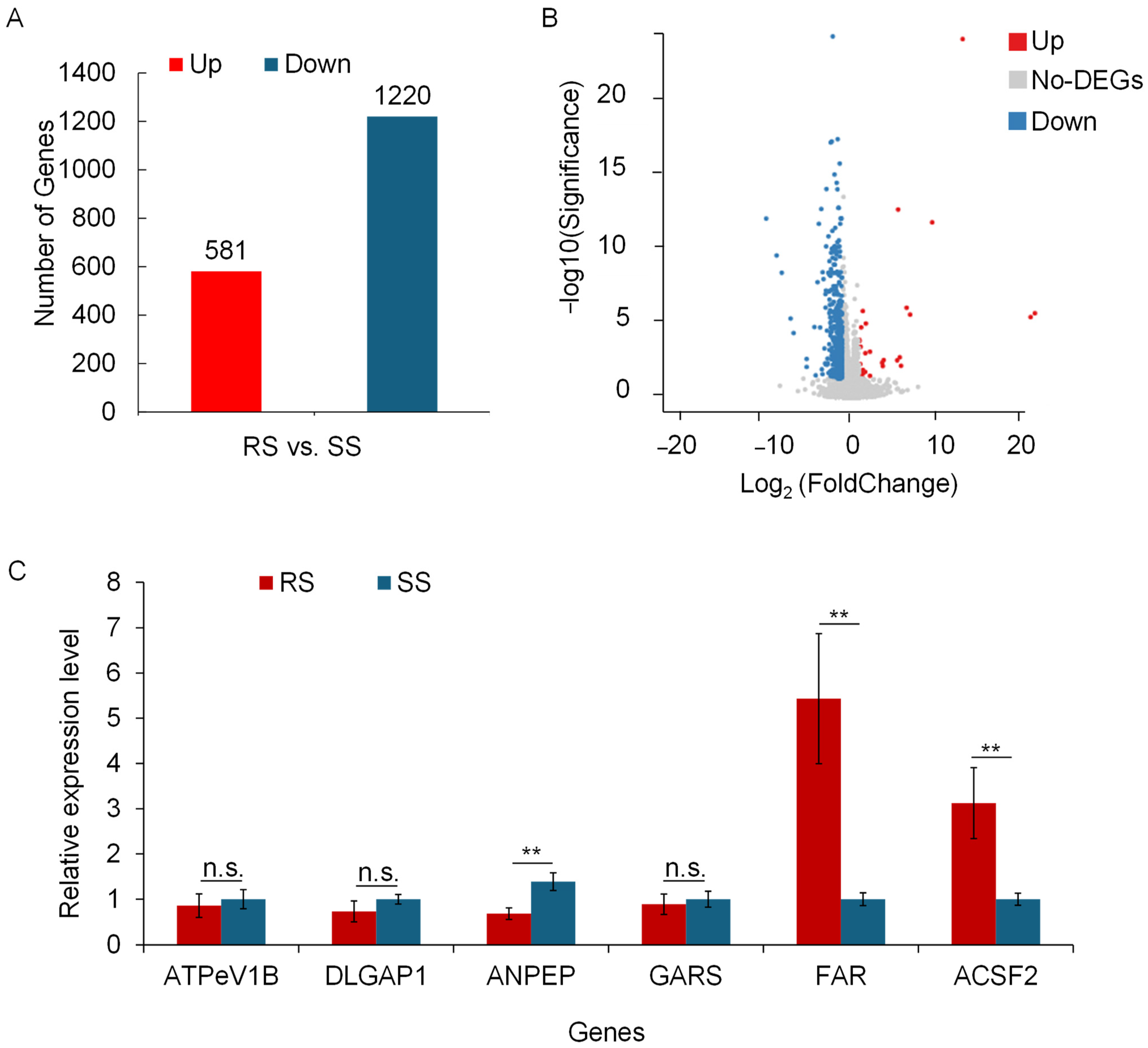 Insects 15 00274 g001