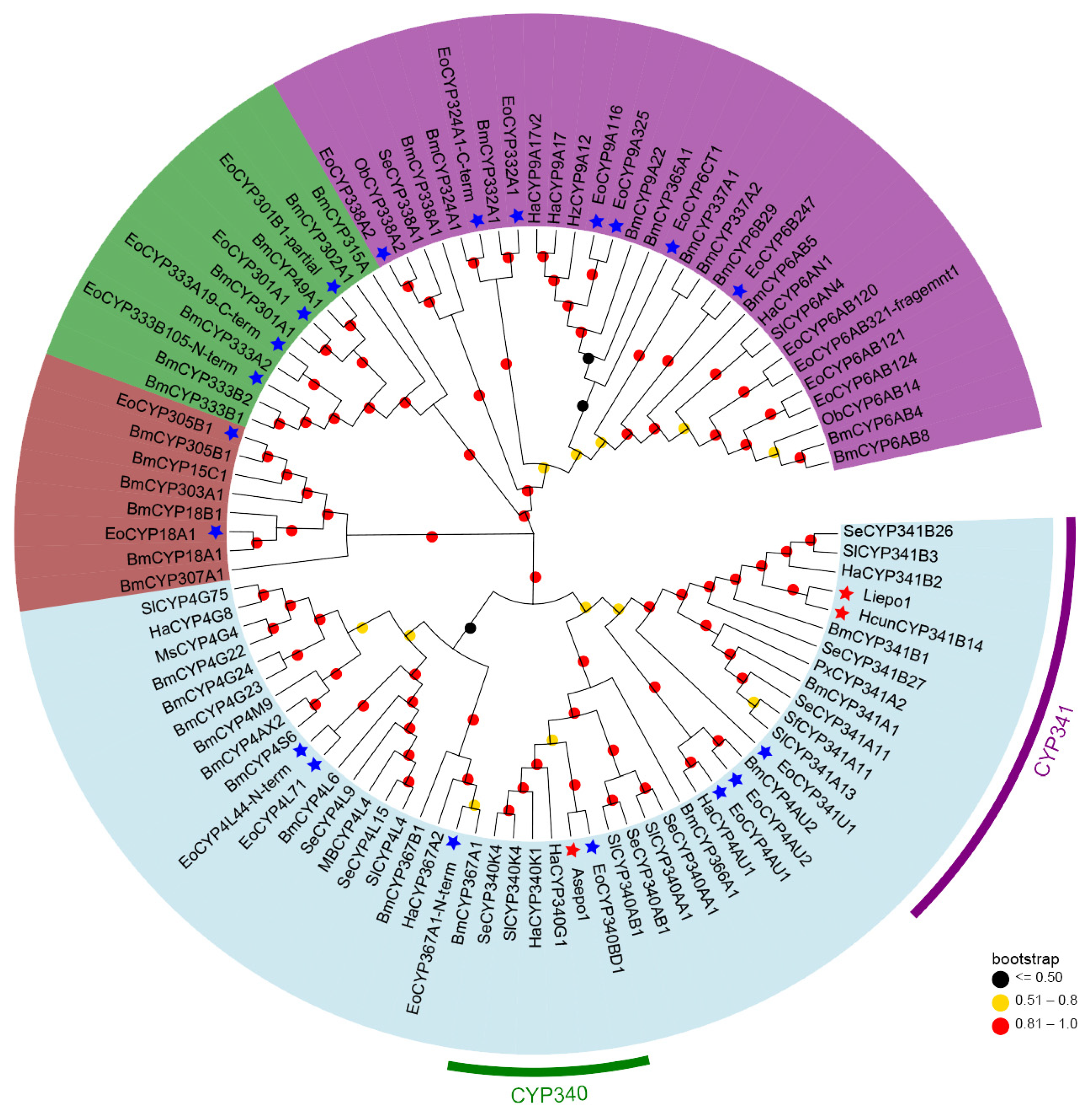 Insects 15 00276 g003