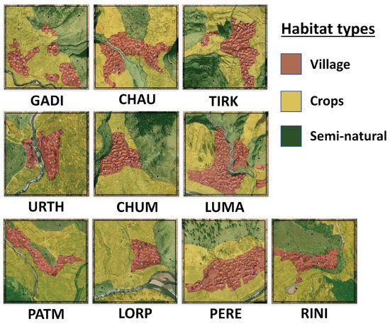 Insects 15 00281 g0a2